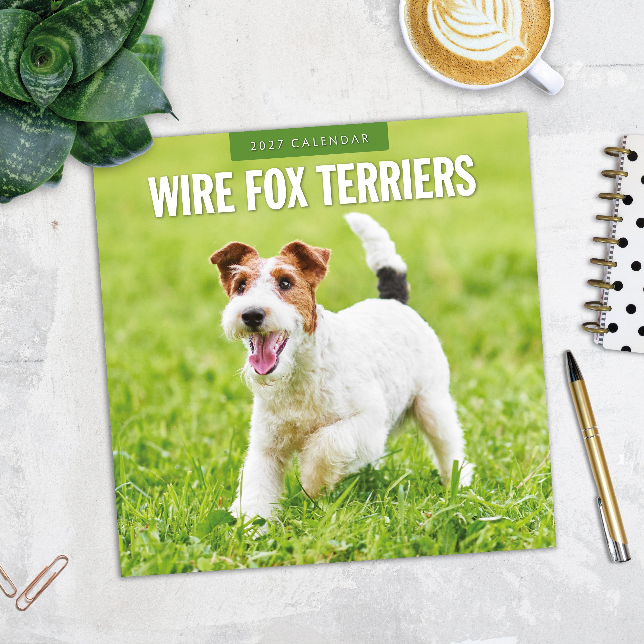 2027 Wire Fox Terriers - Square Wall Calendar