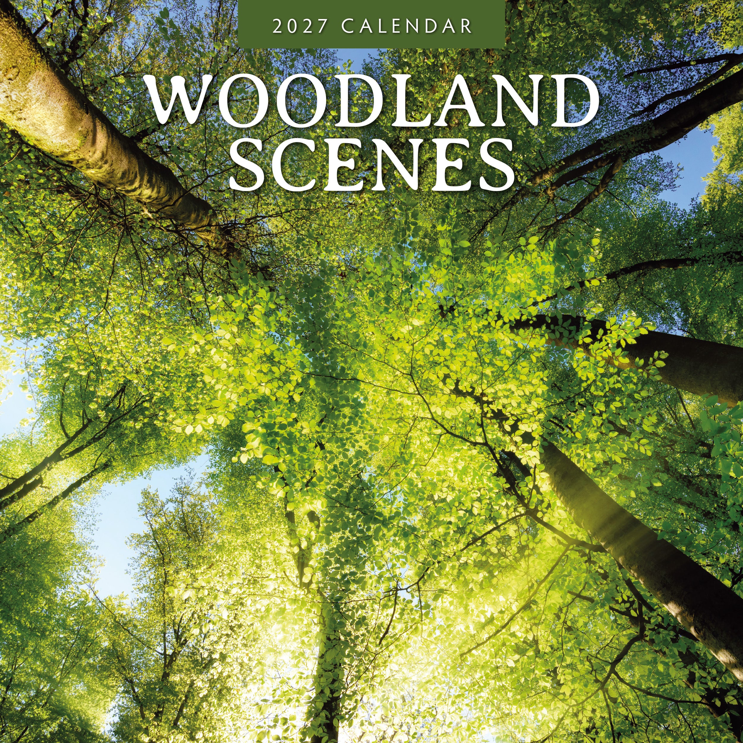 2027 Woodland Scenes - Square Wall Calendar