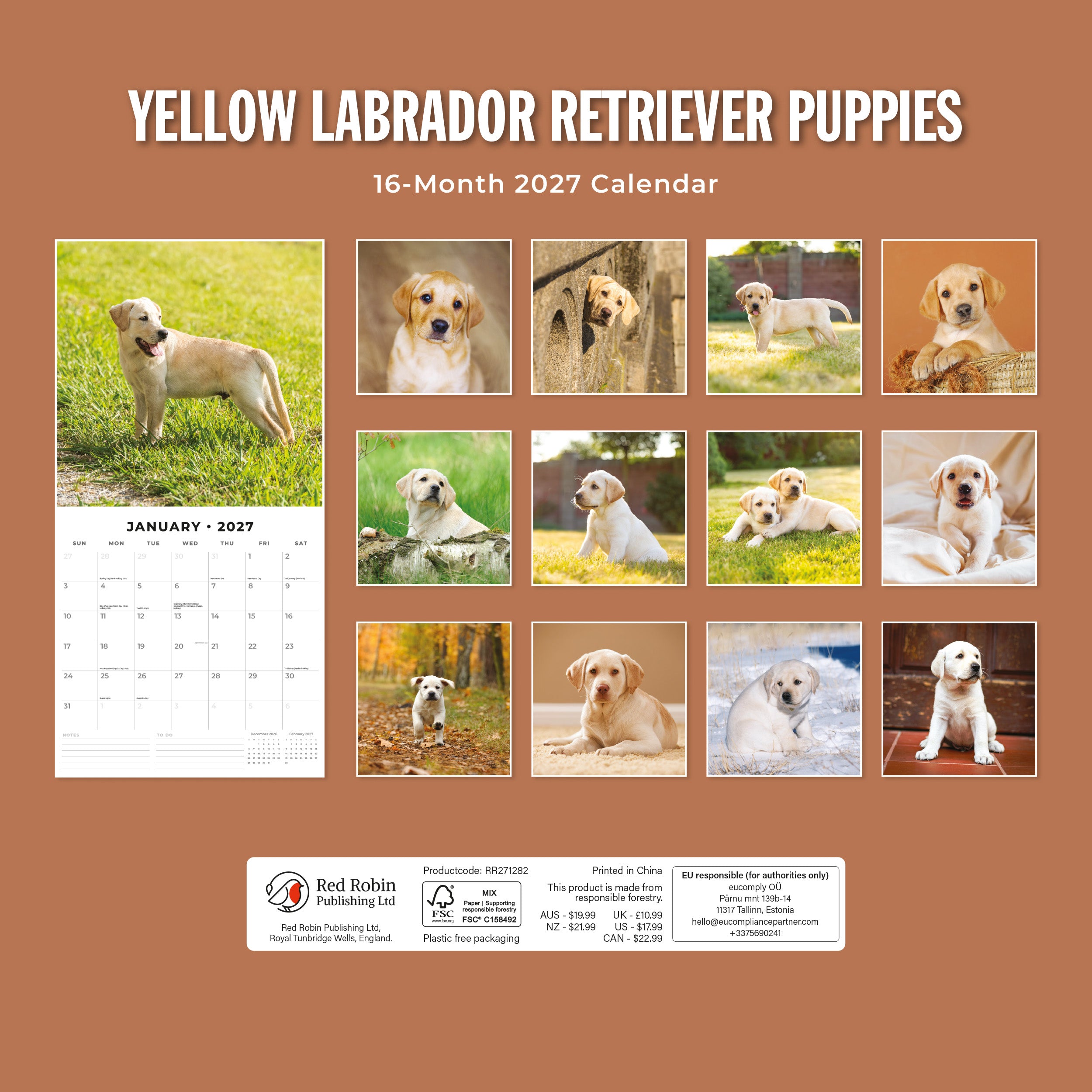 2027 Yellow Labrador Retriever Puppies - Square Wall Calendar