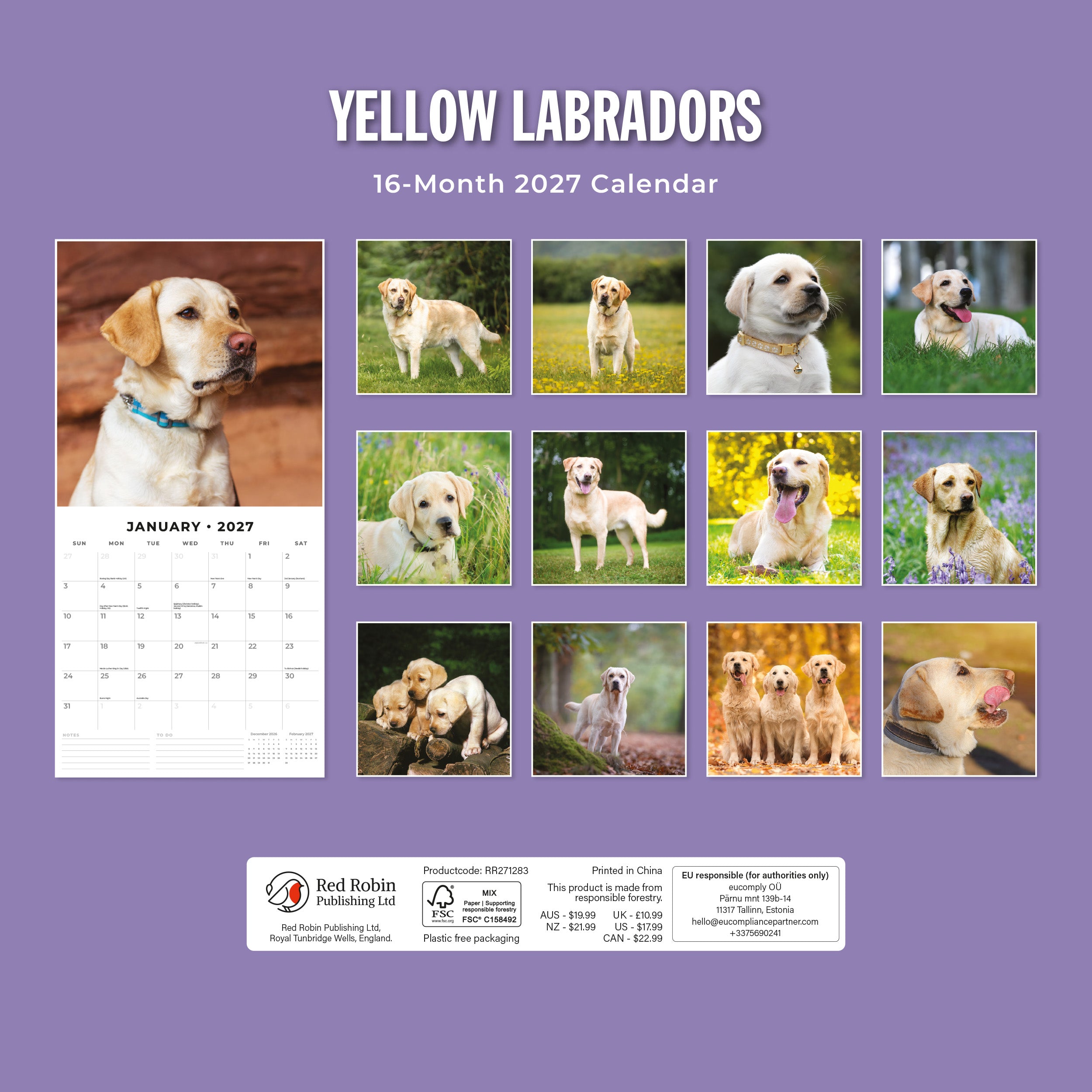 2027 Yellow Labrador - Square Wall Calendar
