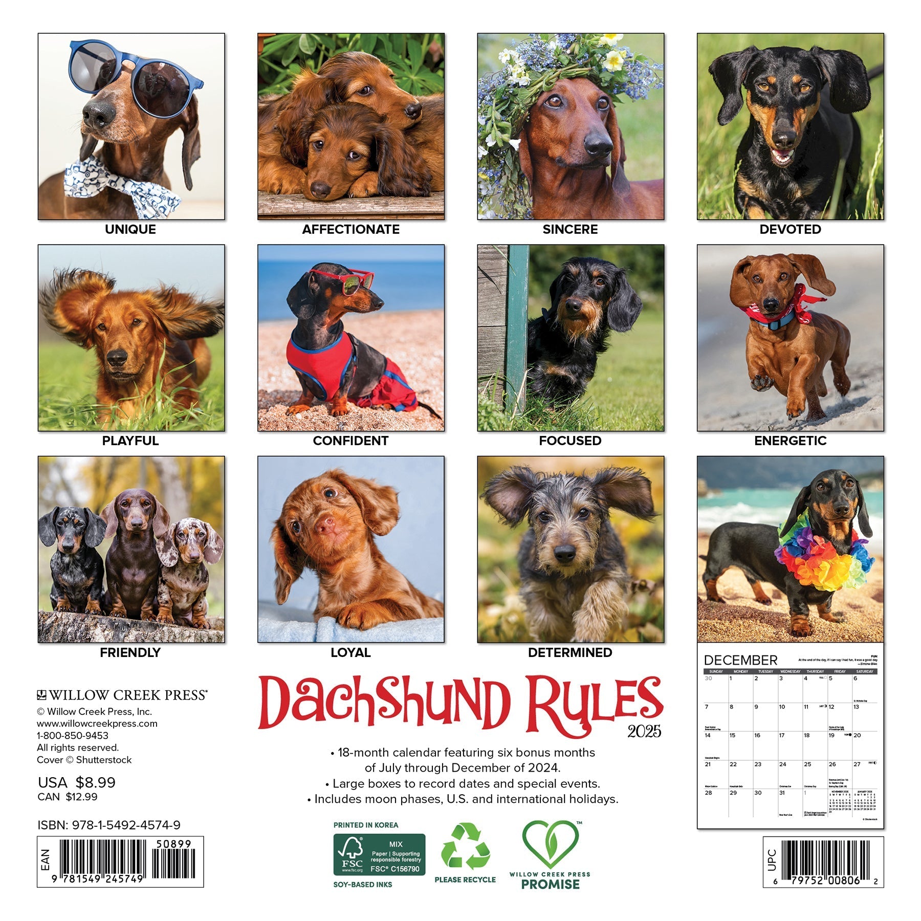 2025 Dachshund Rules - Mini Wall Calendar (US Only)