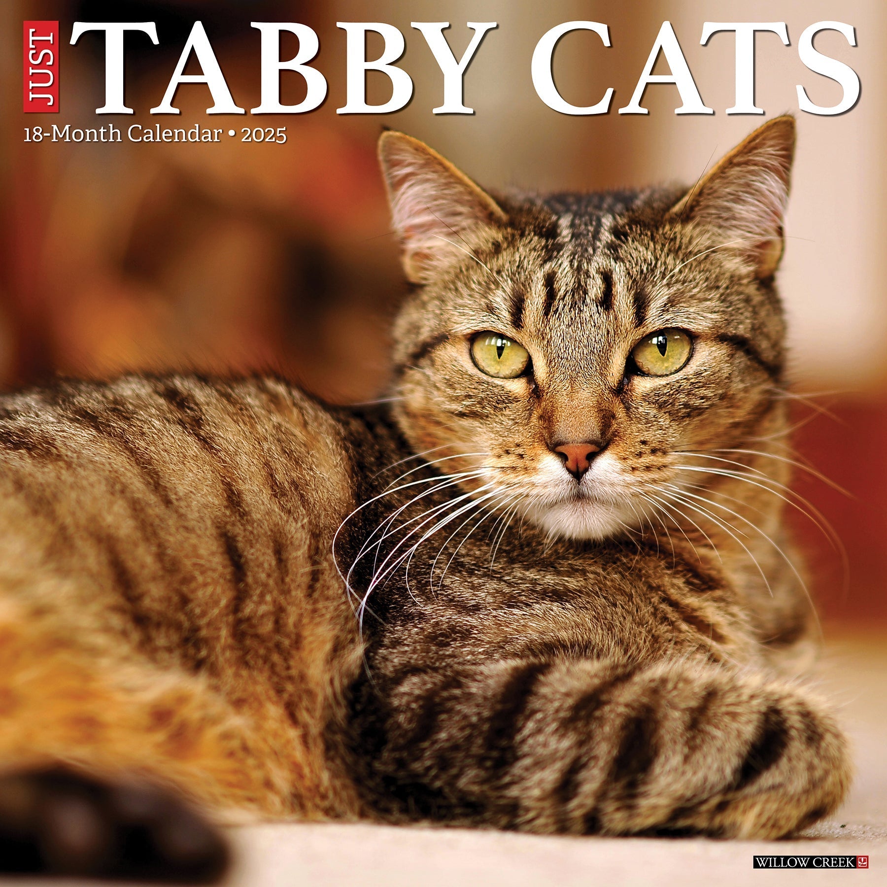 2025 Tabby Cats - Square Wall Calendar (US Only)