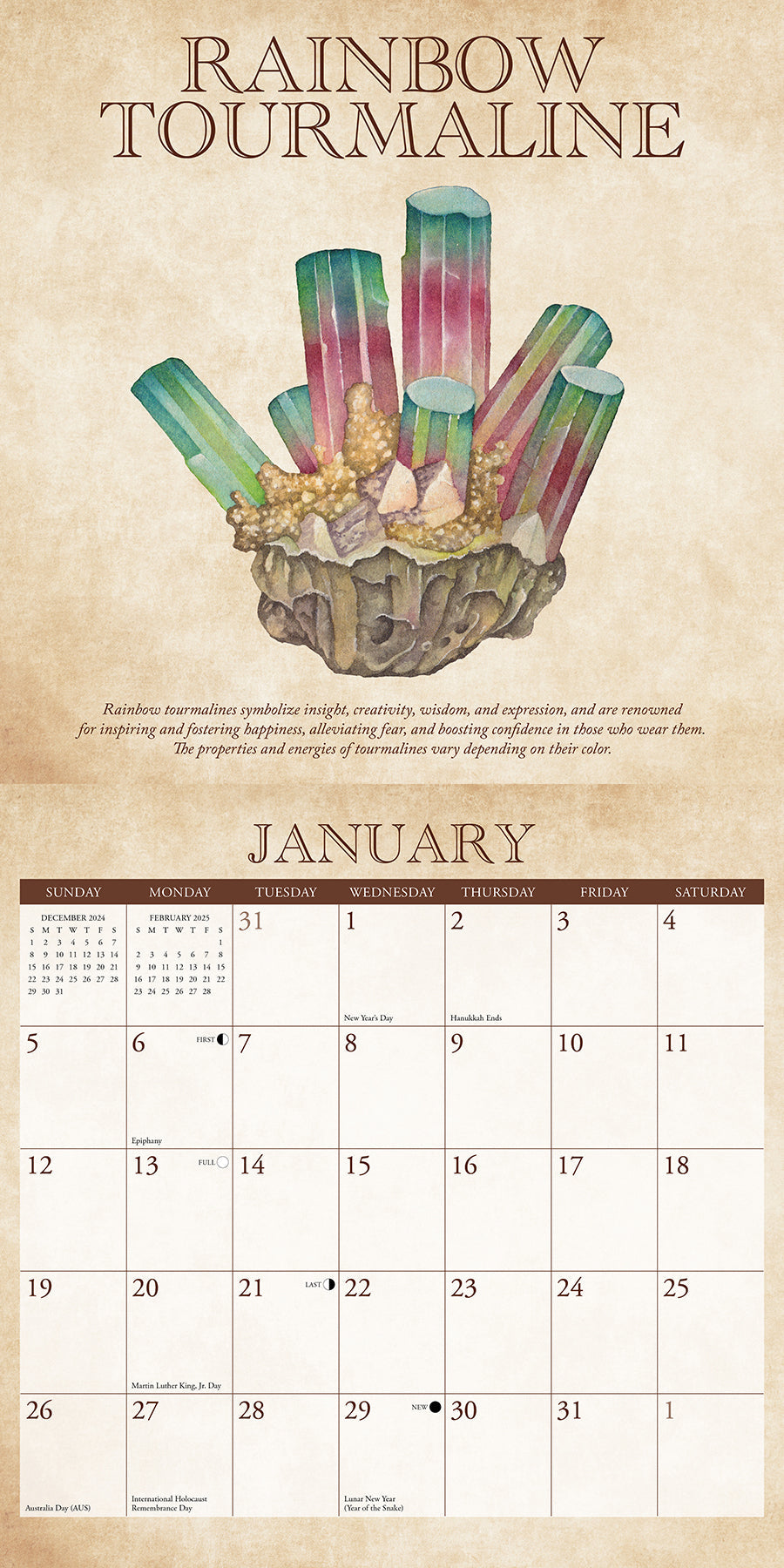 2025 Mineralologie - Square Wall Calendar (US Only)