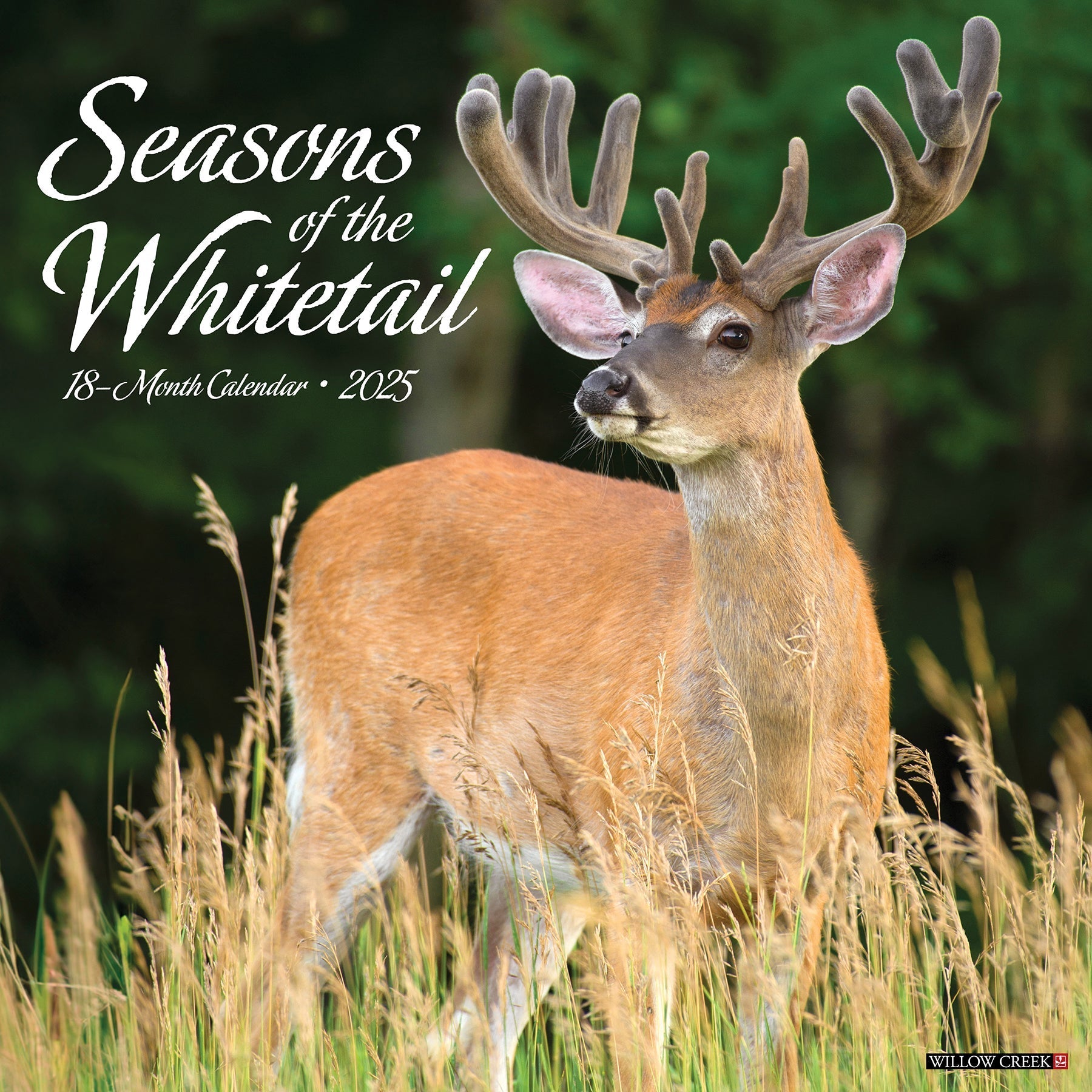 2025 Seasons of the Whitetail (Deer) - Square Wall Calendar (US Only)