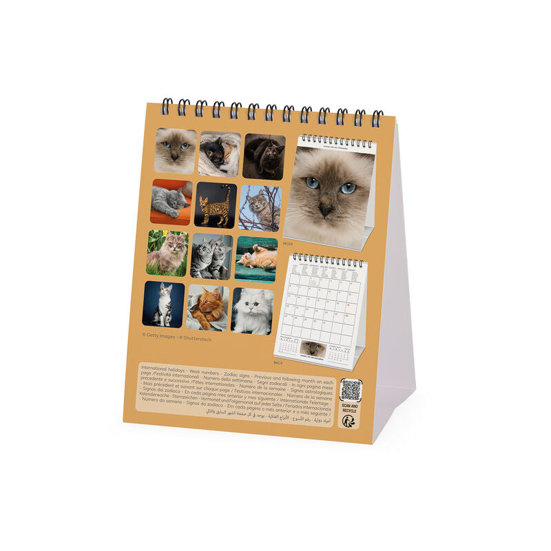 2025 Cats by Legami - Desk Easel Calendar