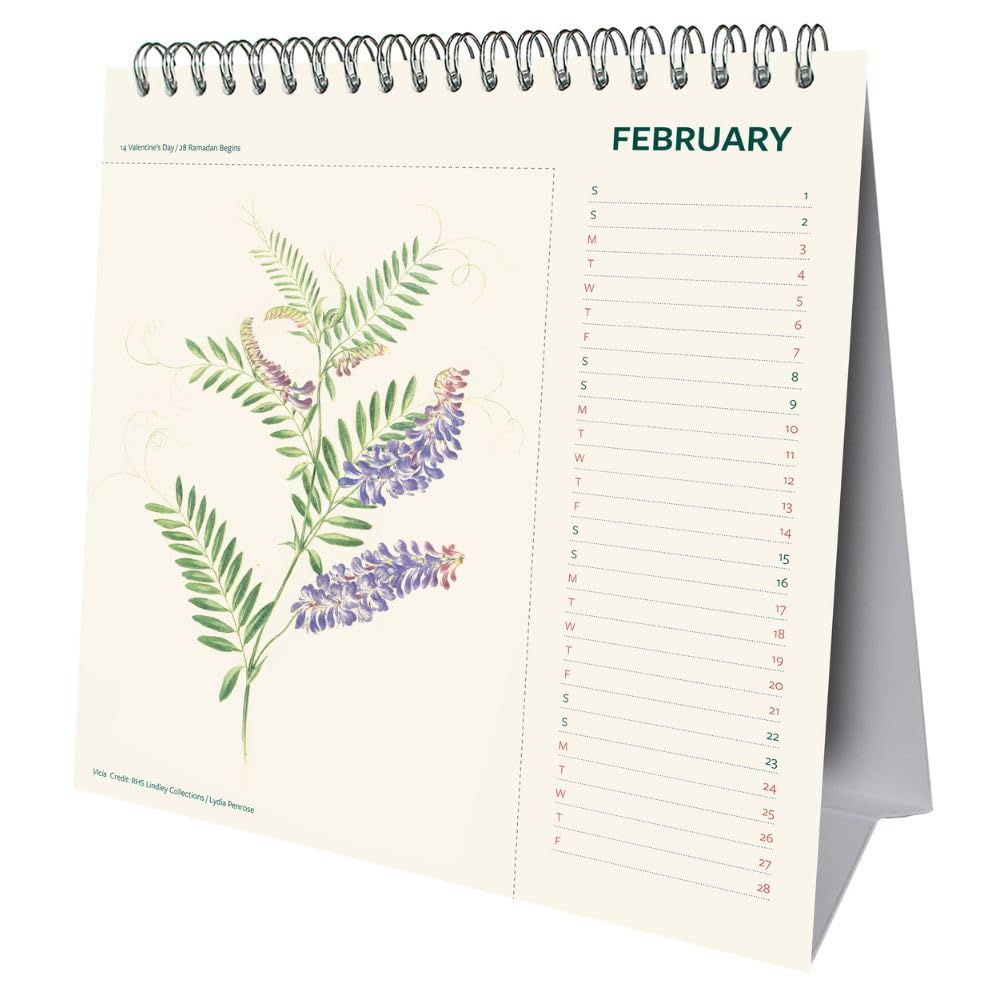 2025 Rhs - Desk Easel Calendar