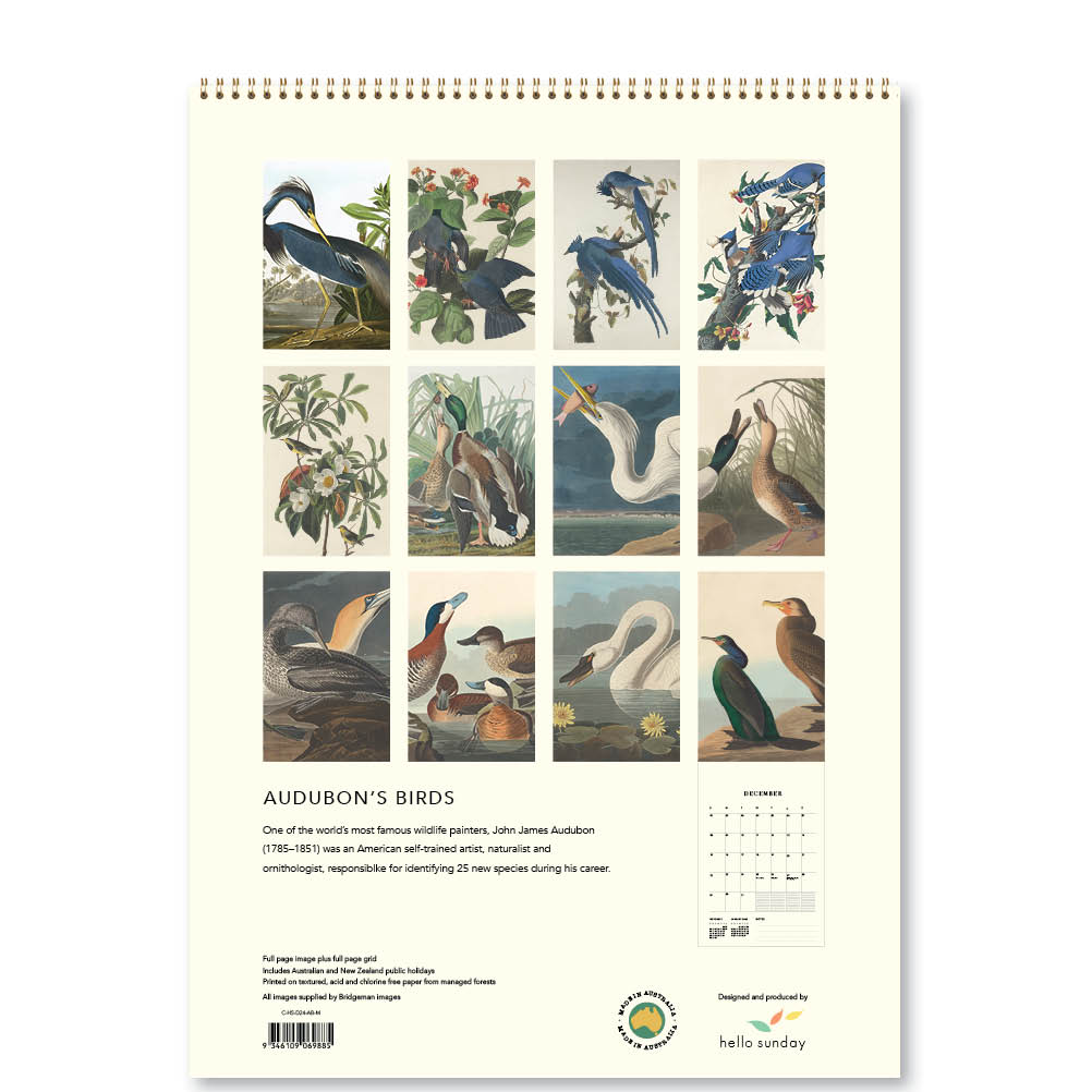 2024 Audubon's Birds - Deluxe Wall Calendar