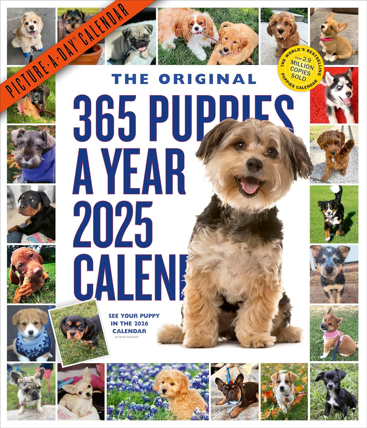 2025 365 Puppies-A-Year Picture-A-Day - Deluxe Wall Calendar