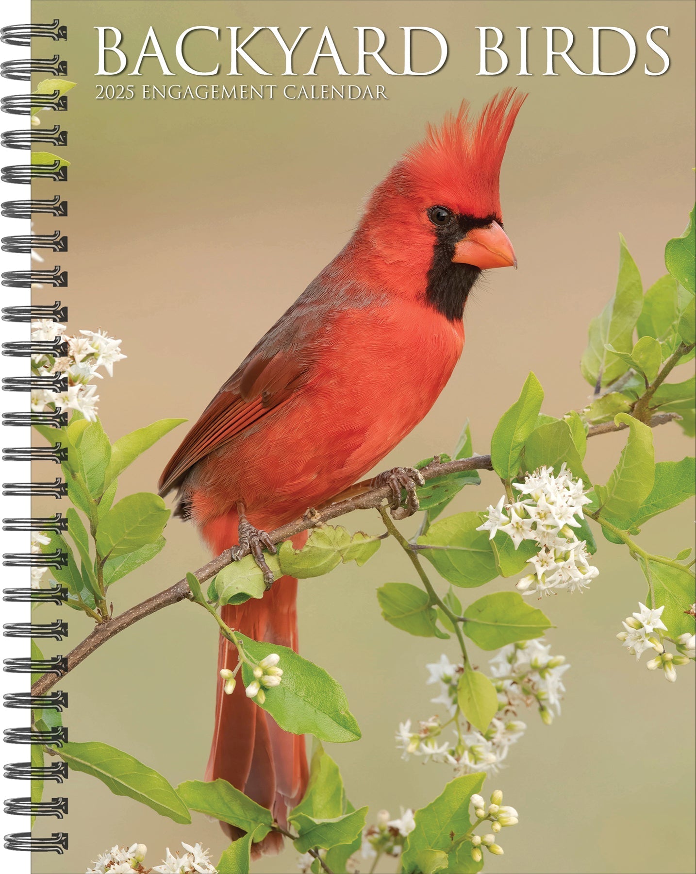 2025 Backyard Birds - Weekly Diary/Planner (US Only)