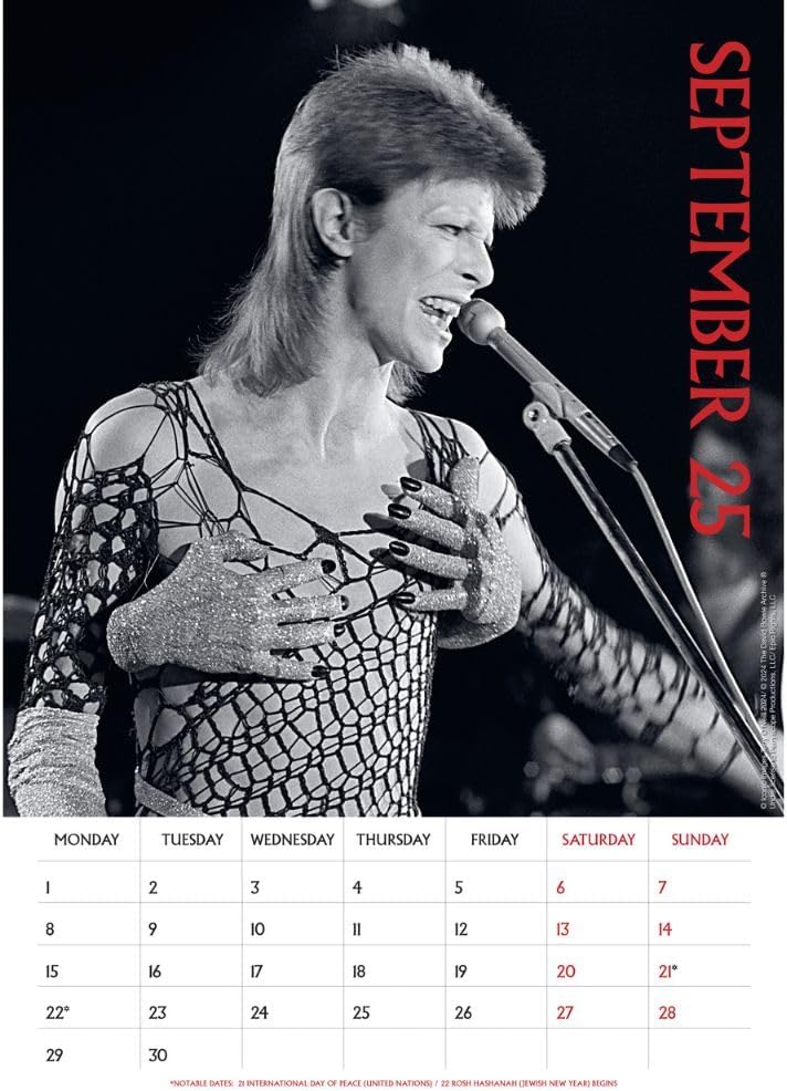 2025 David Bowie - A3 Wall Calendar