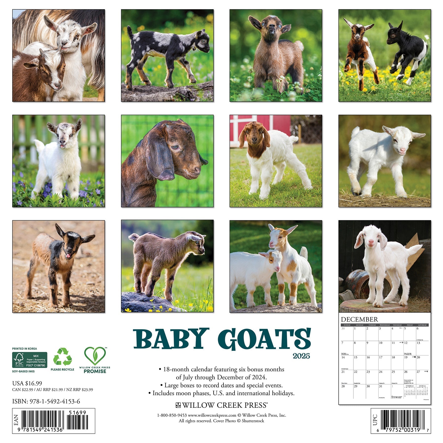 2025 Baby Goats - Square Wall Calendar (US Only)