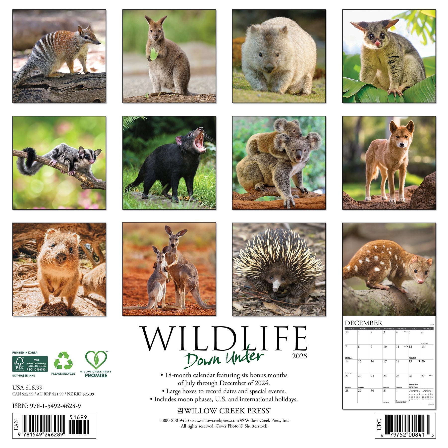 2025 Wildlife Down Under - Square Wall Calendar (US Only)