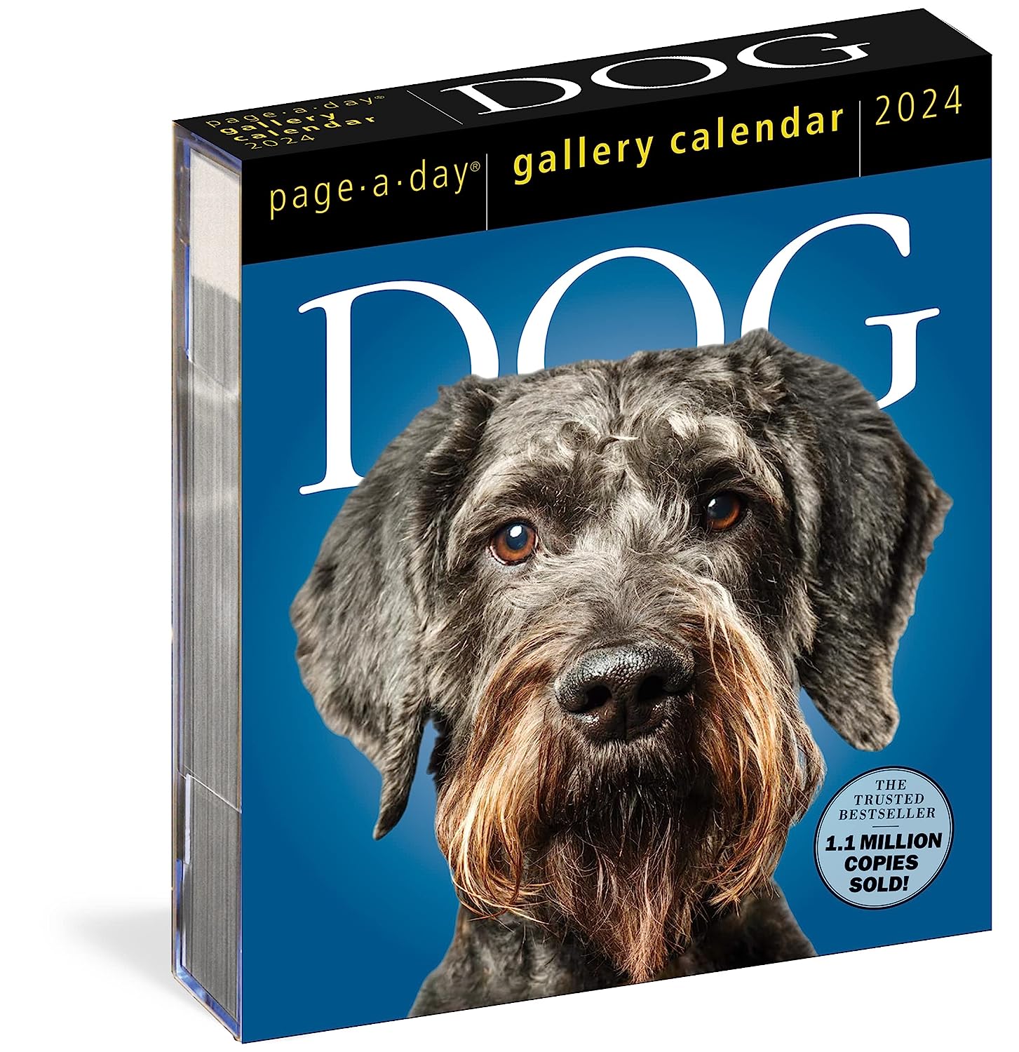 2024 Dog Gallery - Daily Boxed Page-A-Day Calendar
