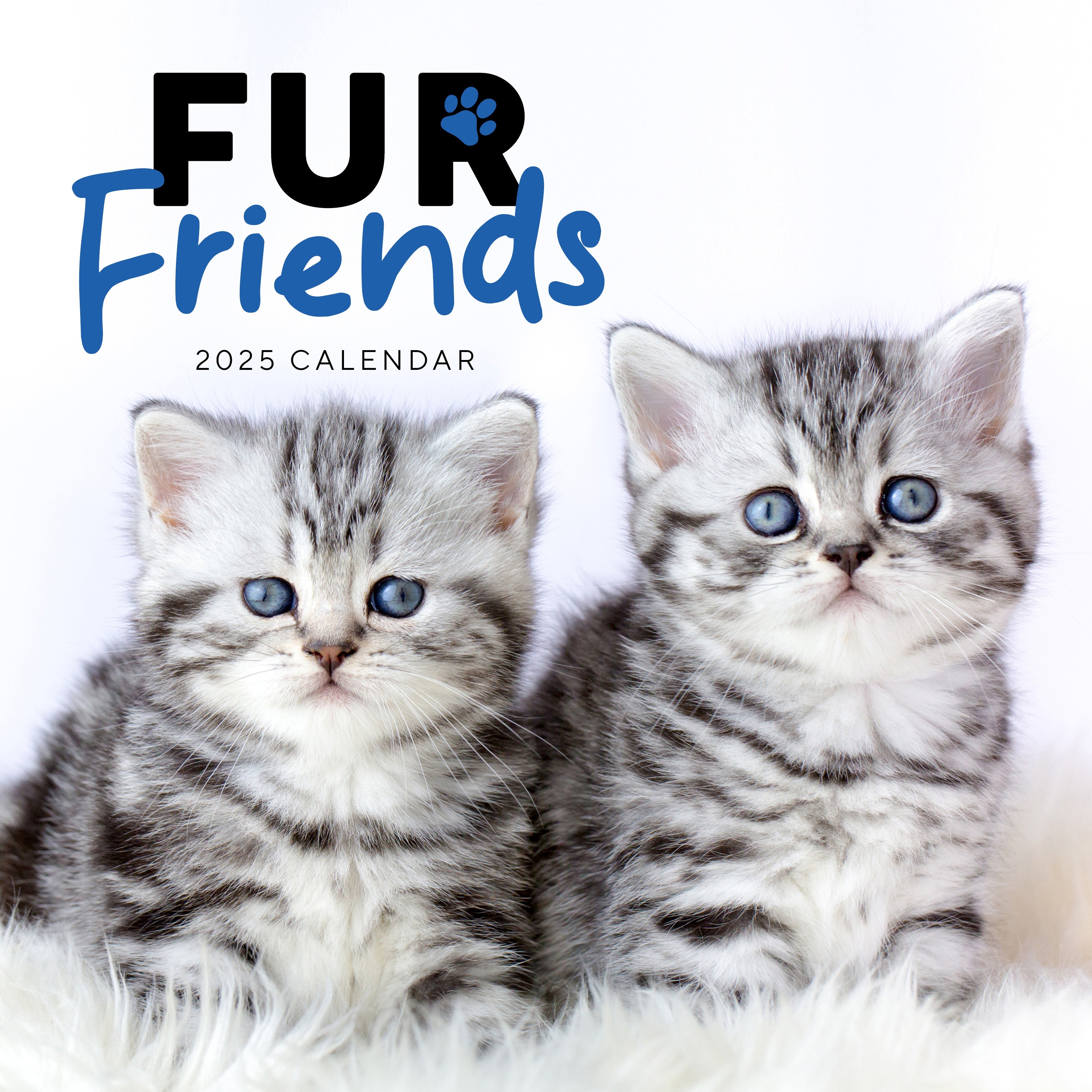 2025 Fur Friends - Square Wall Calendar