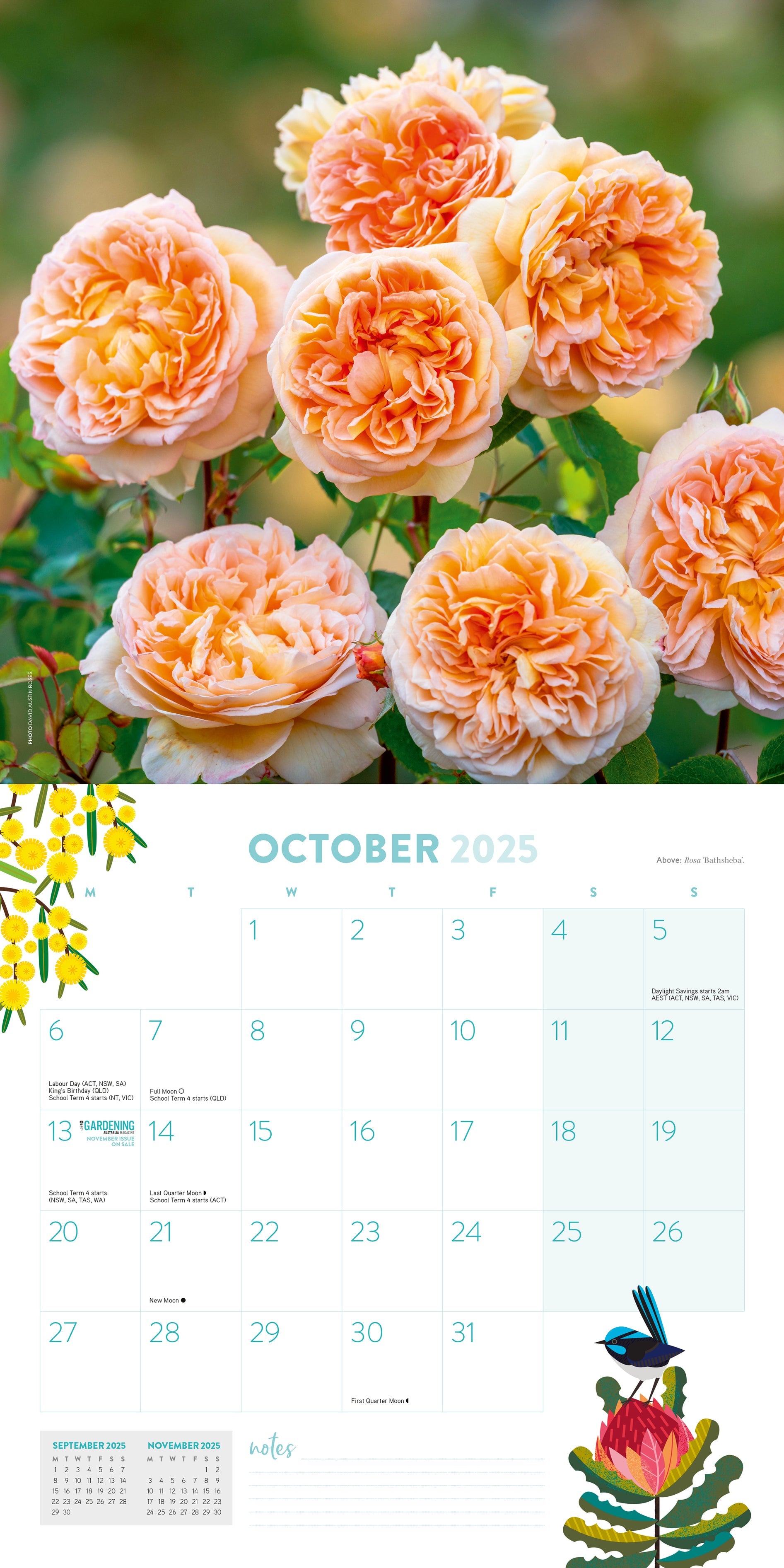 2025 ABC Gardening Australia - Square Wall Calendar