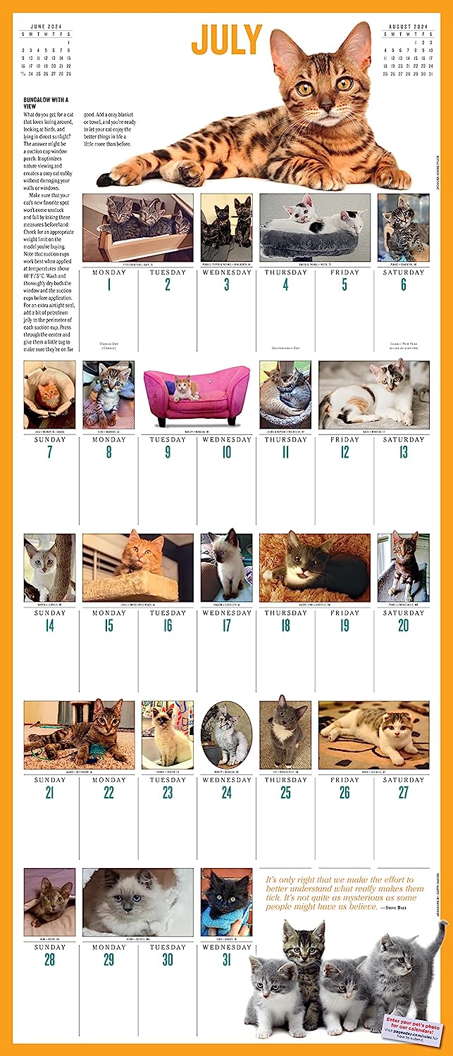 2024 365 KittensAYear Deluxe Wall Calendar