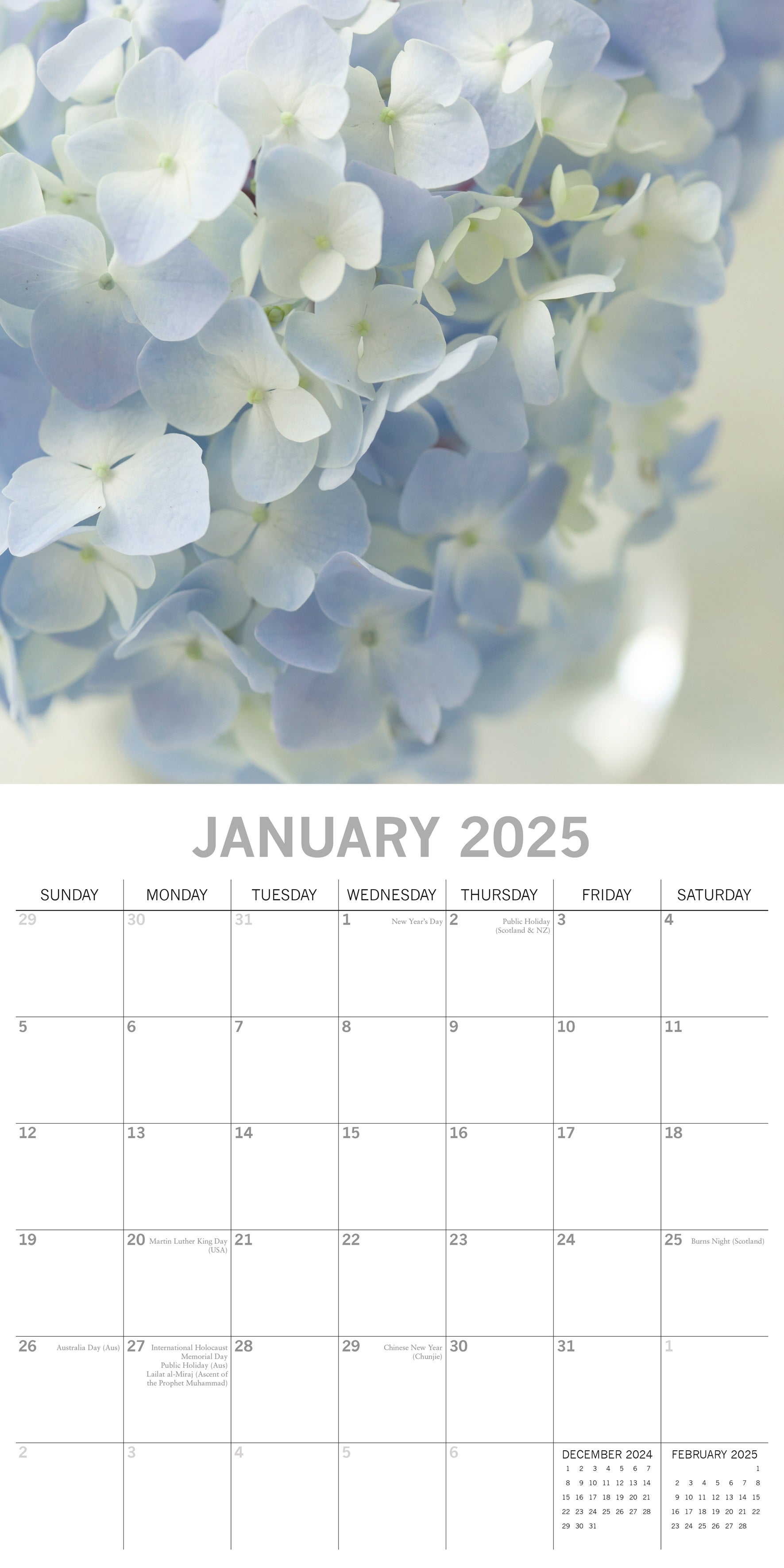 2025 Beauty of Flowers - Square Wall Calendar