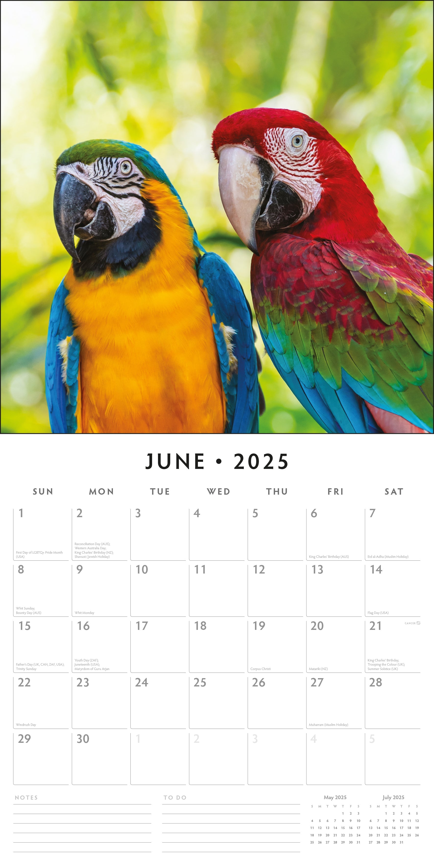 2025 Parrots - Square Wall Calendar