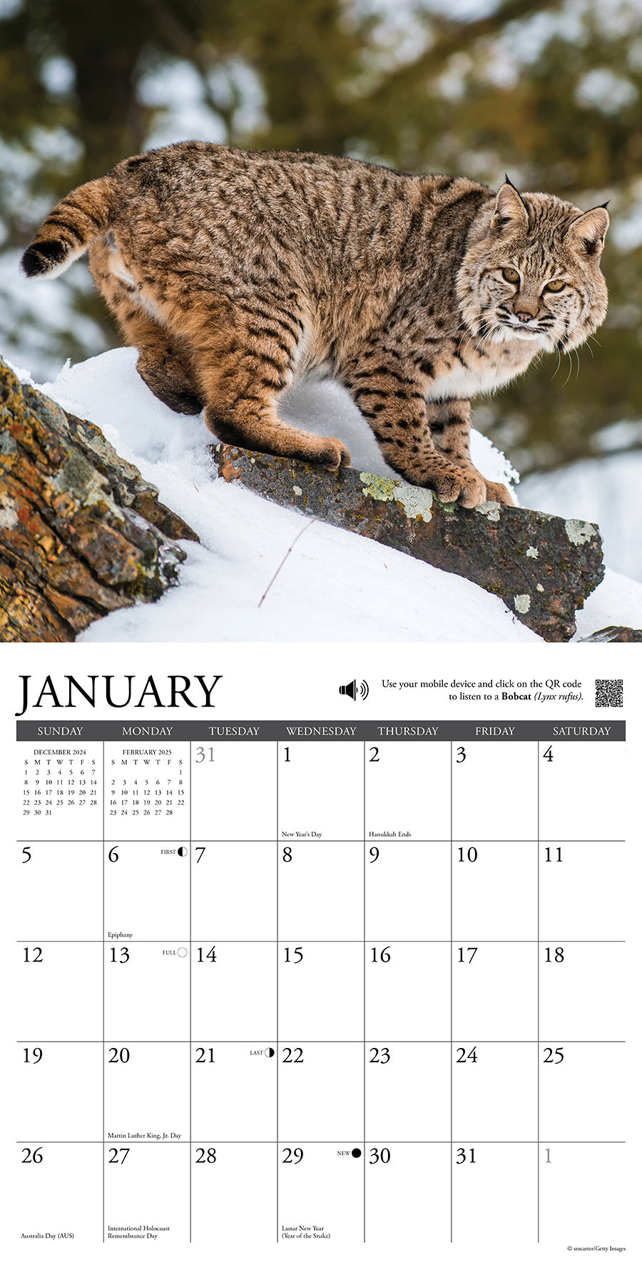 2025 Call of the Wild - Square Wall Calendar (US Only)