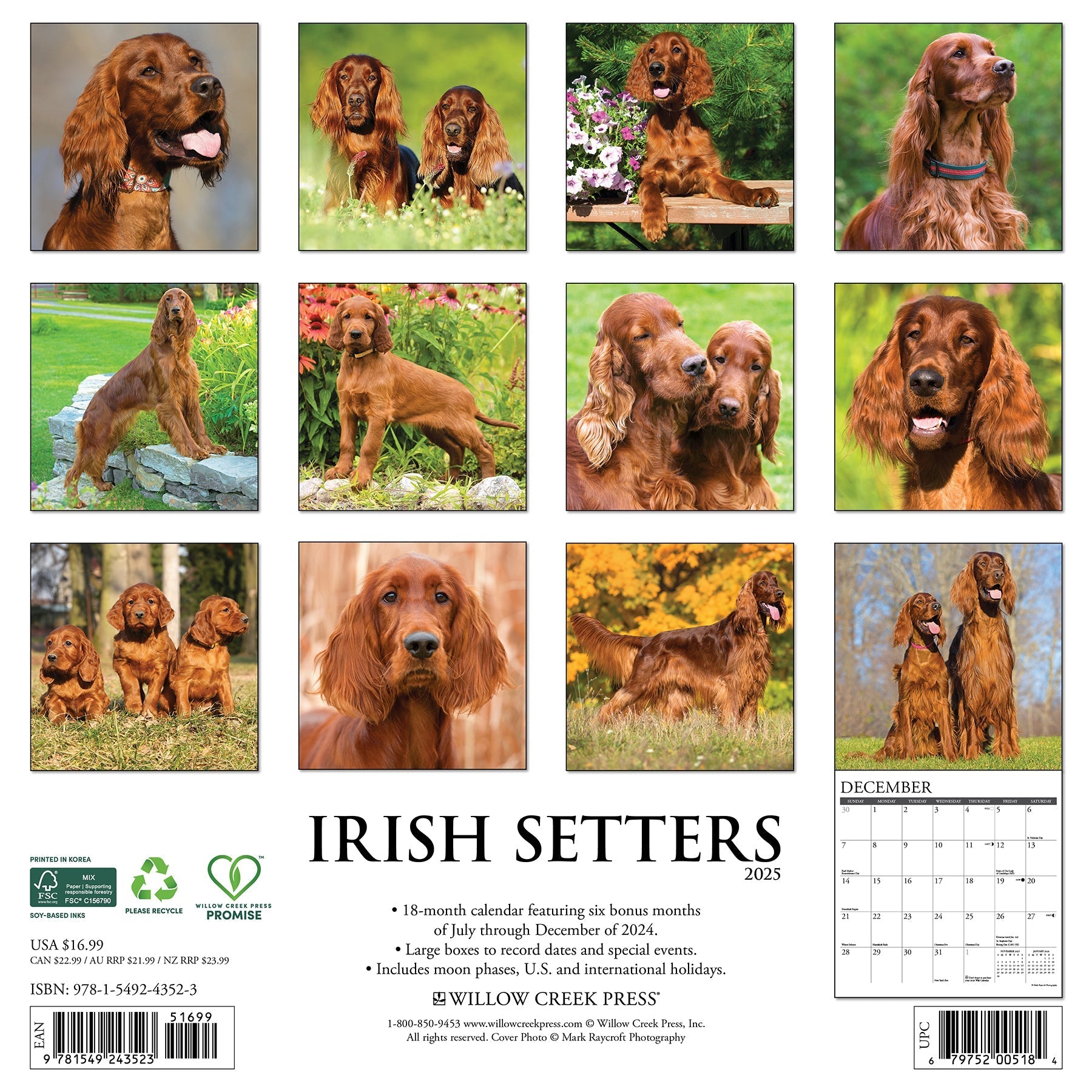 2025 Irish Setters - Square Wall Calendar (US Only)