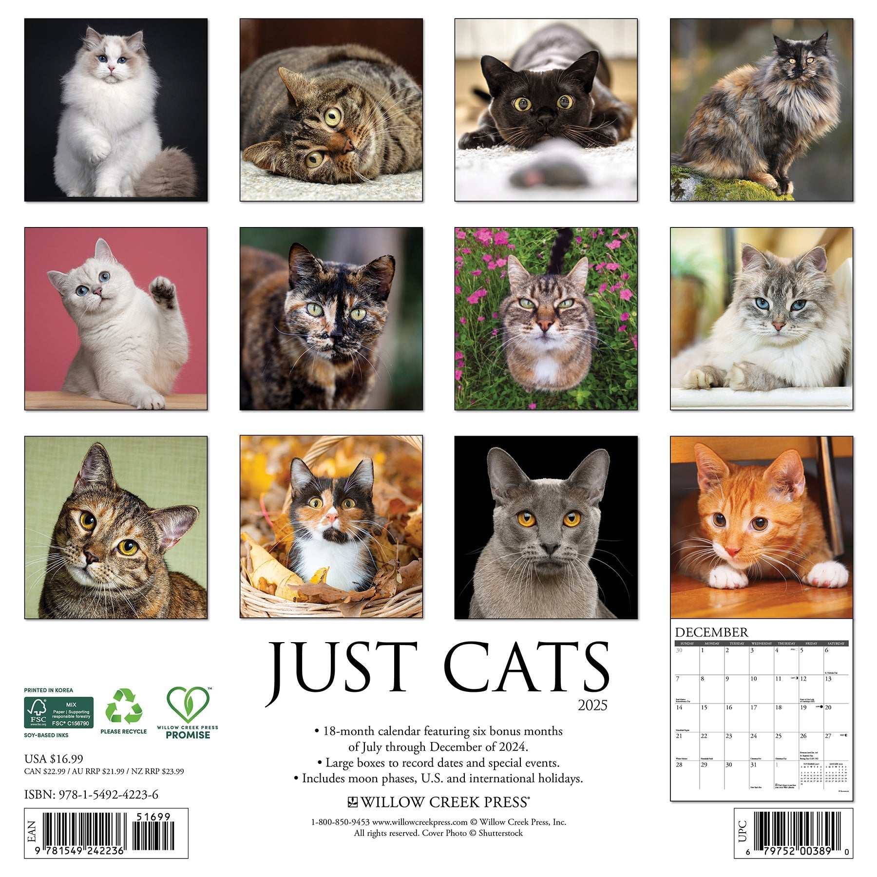 2025 Cats - Square Wall Calendar (US Only)