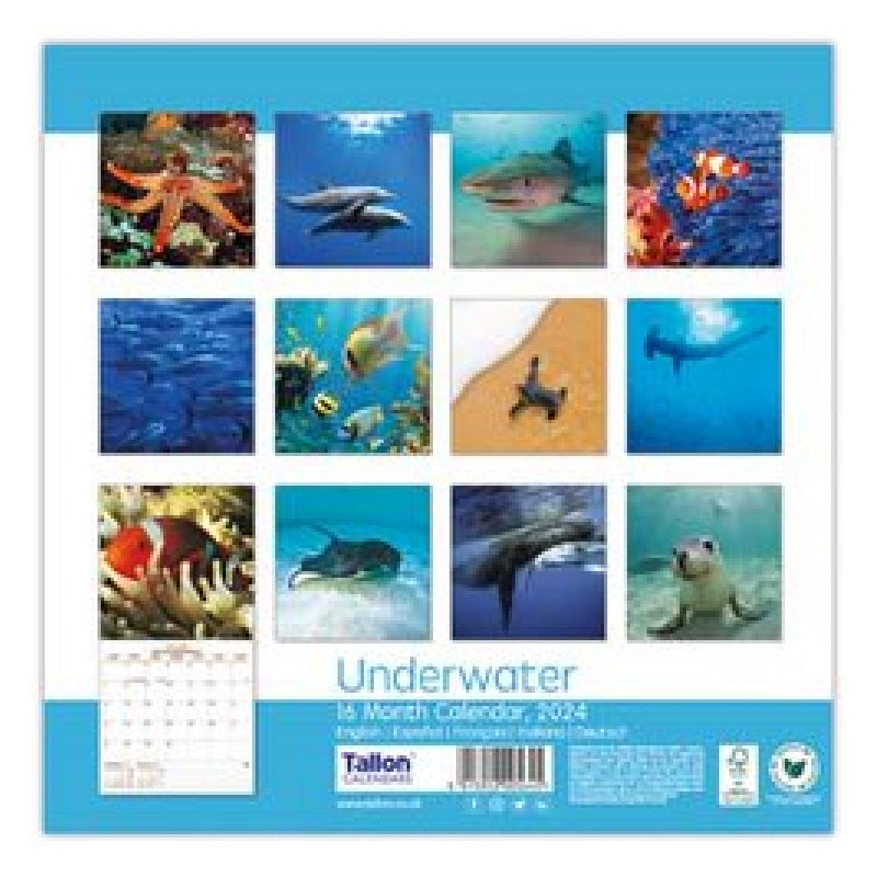2024 Underwater World - Square Wall Calendar