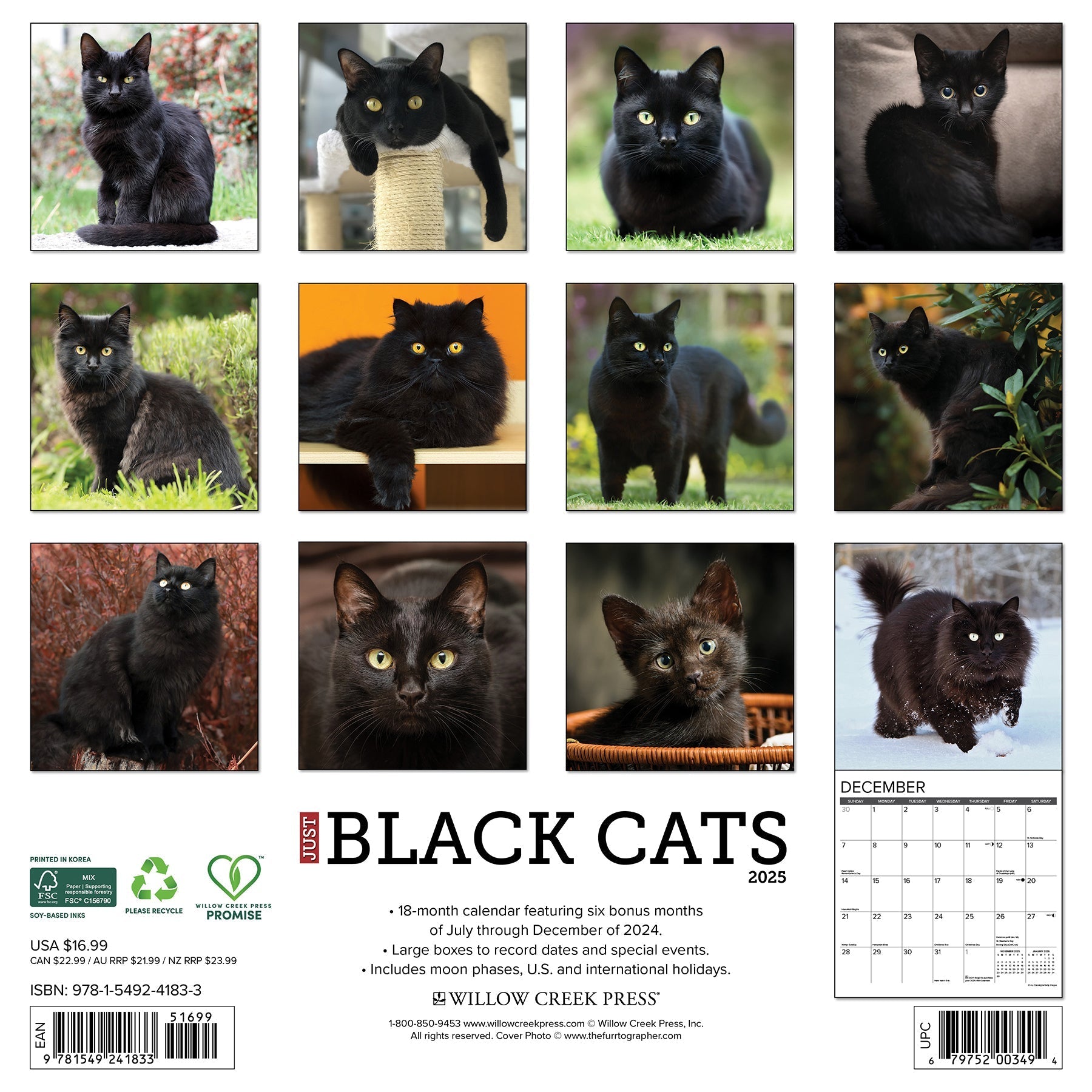 2025 Black Cats - Square Wall Calendar (US Only)