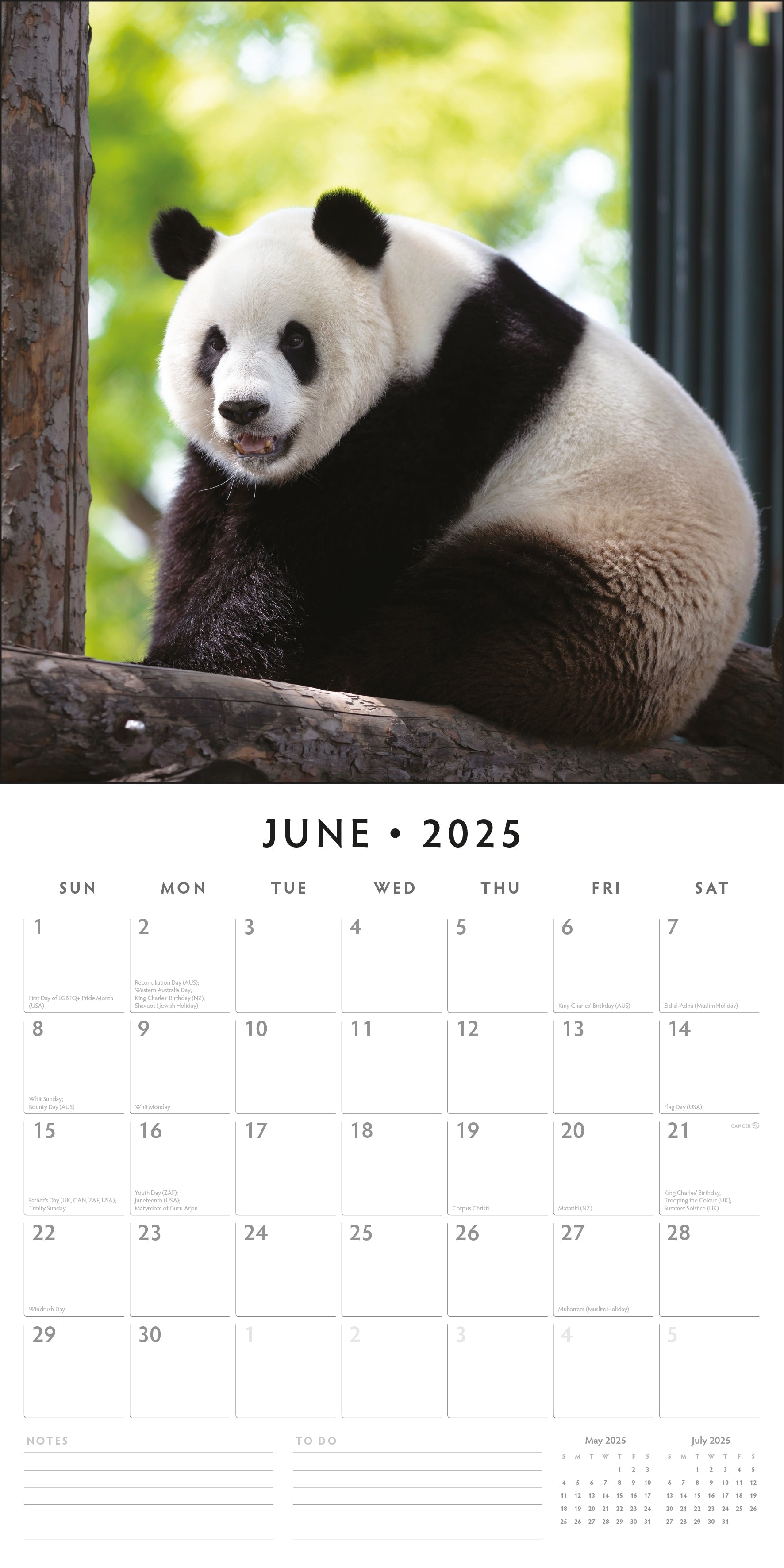 2025 Pandas - Square Wall Calendar