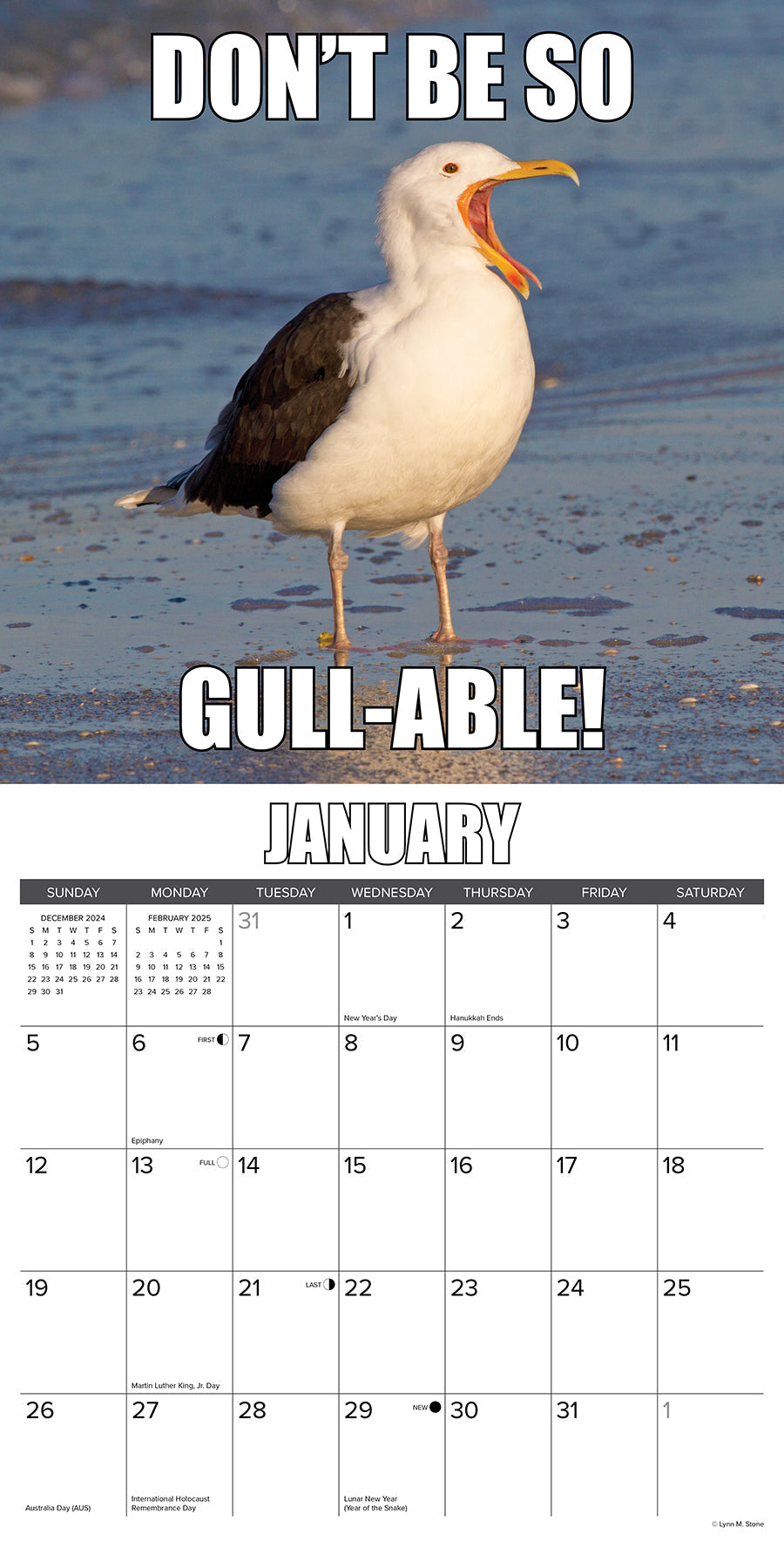 2025 Fowl Language - Square Wall Calendar (US Only)