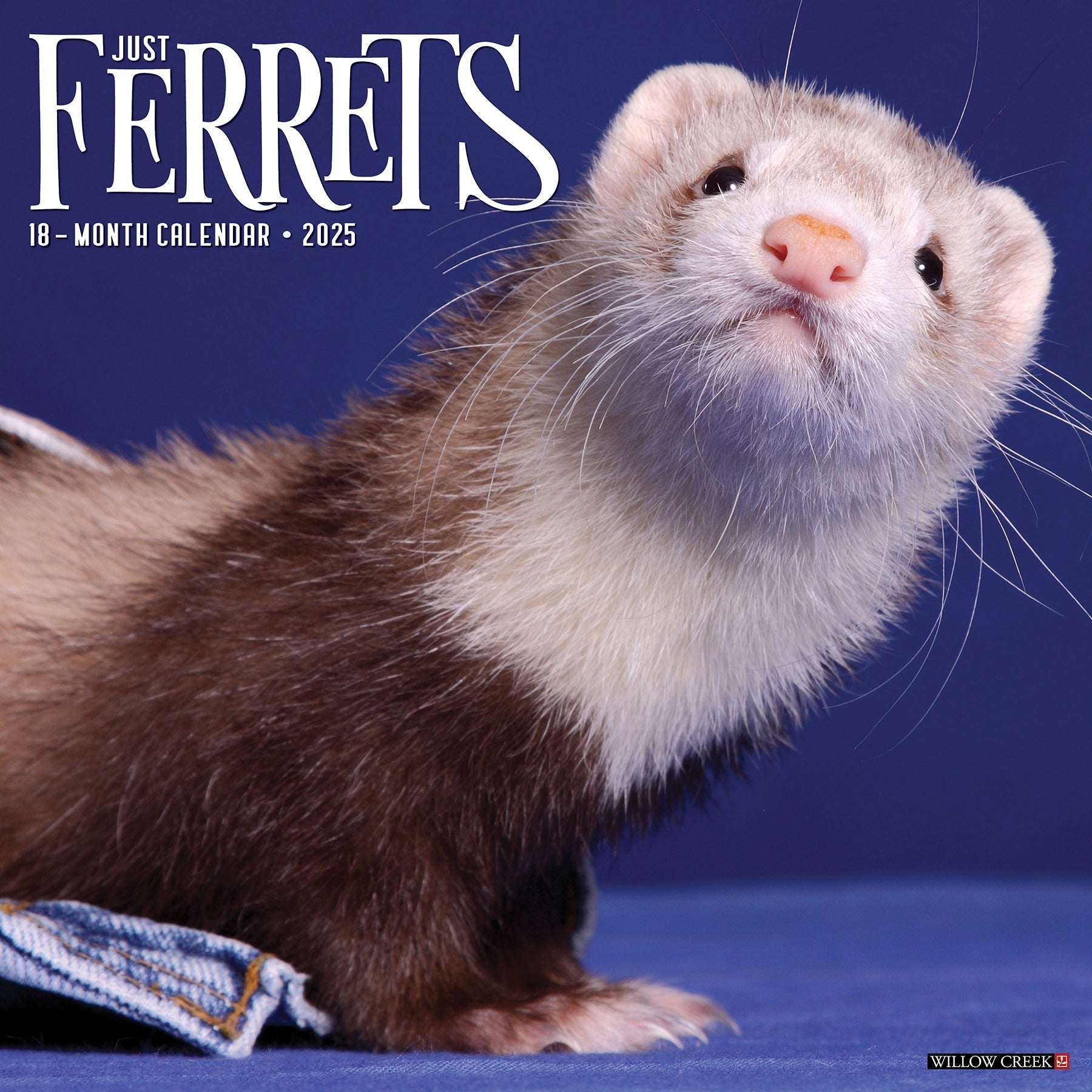 2025 Ferrets - Square Wall Calendar (US Only)