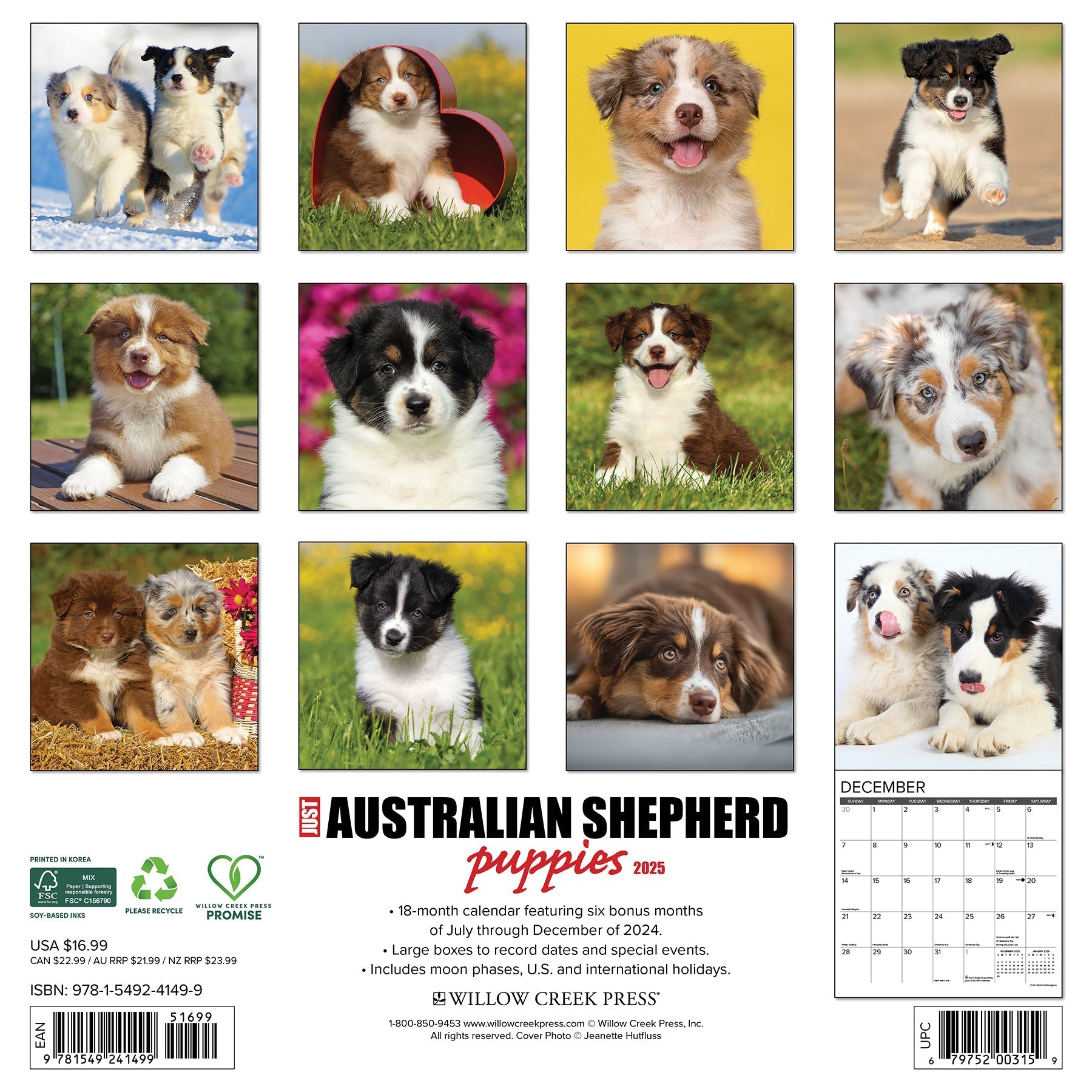 2025 Australian Shepherd Puppies - Square Wall Calendar (US Only)