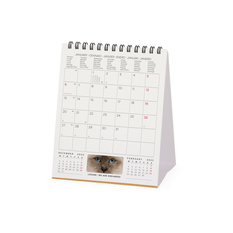 2025 Cats by Legami - Desk Easel Calendar