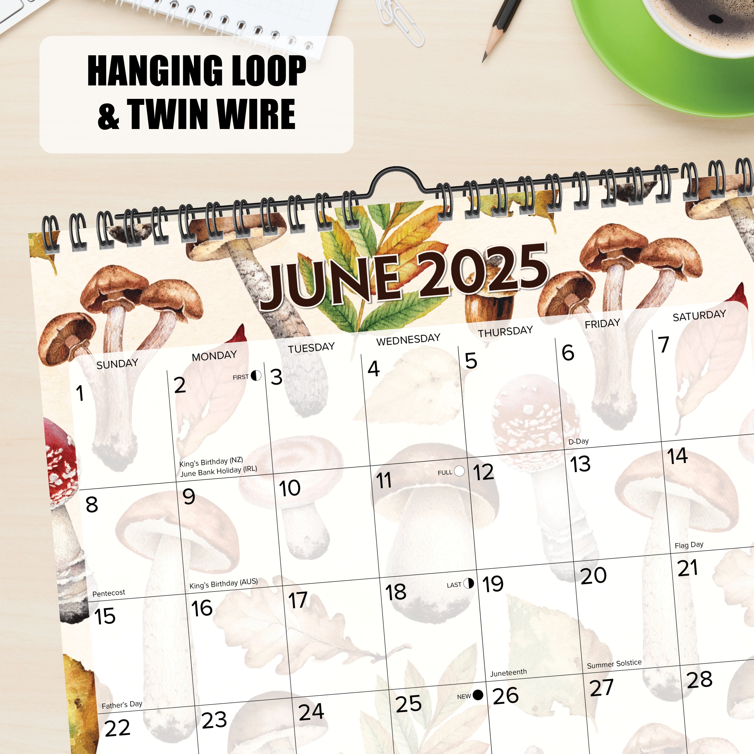 July 2024 - June 2025 Mushrooms - Square Wall Academic Calendar