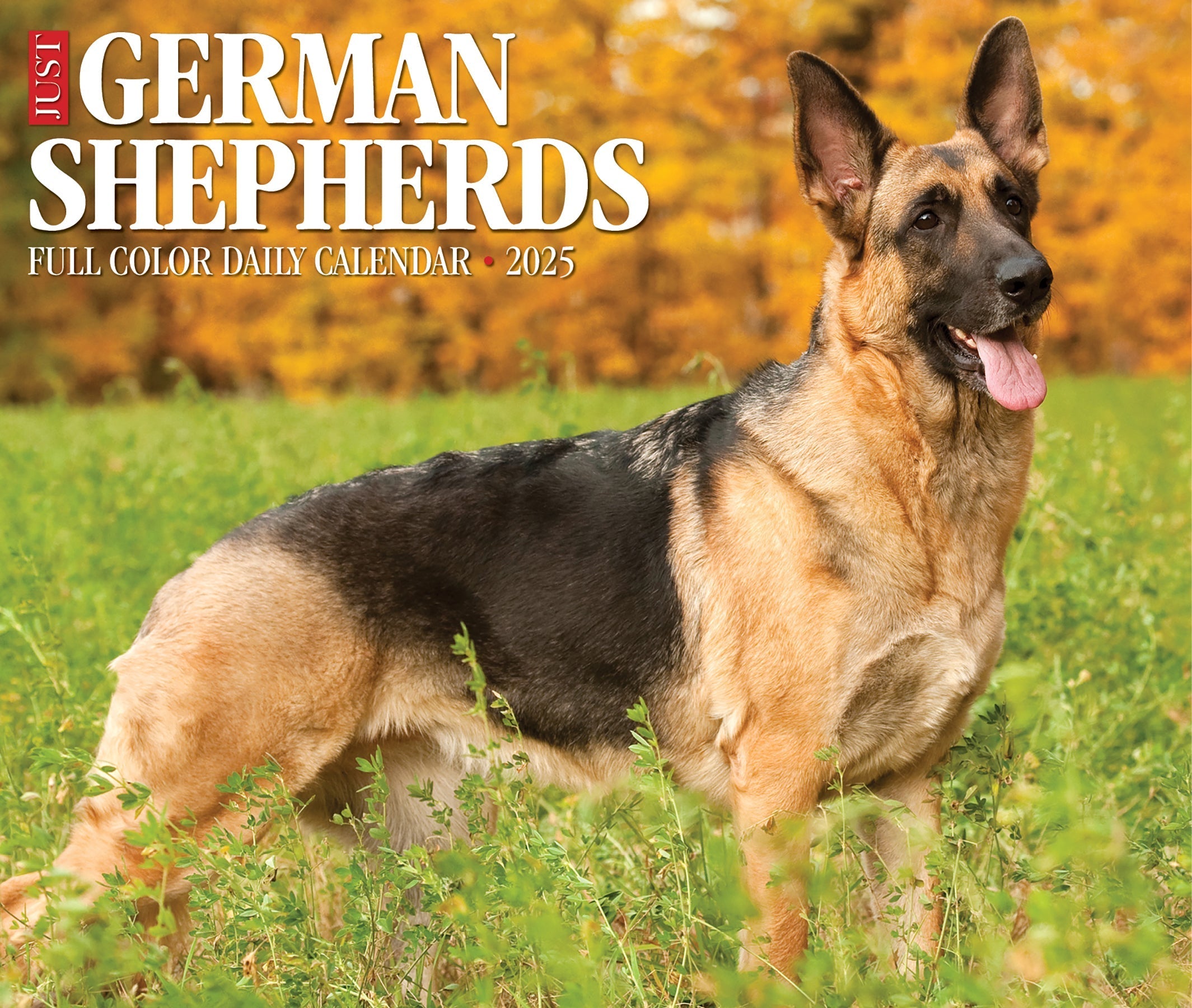 2025 German Shepherds - Daily Boxed Page-A-Day Calendar (US Only)