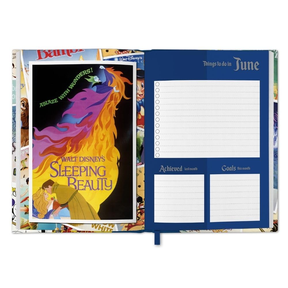 2024 Disney Vintage Posters - Weekly Diary/Planner  SOLD OUT