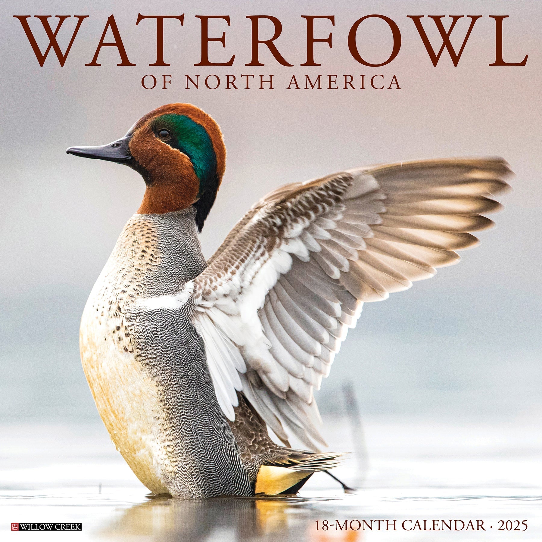 2025 Waterfowl - Square Wall Calendar (US Only)