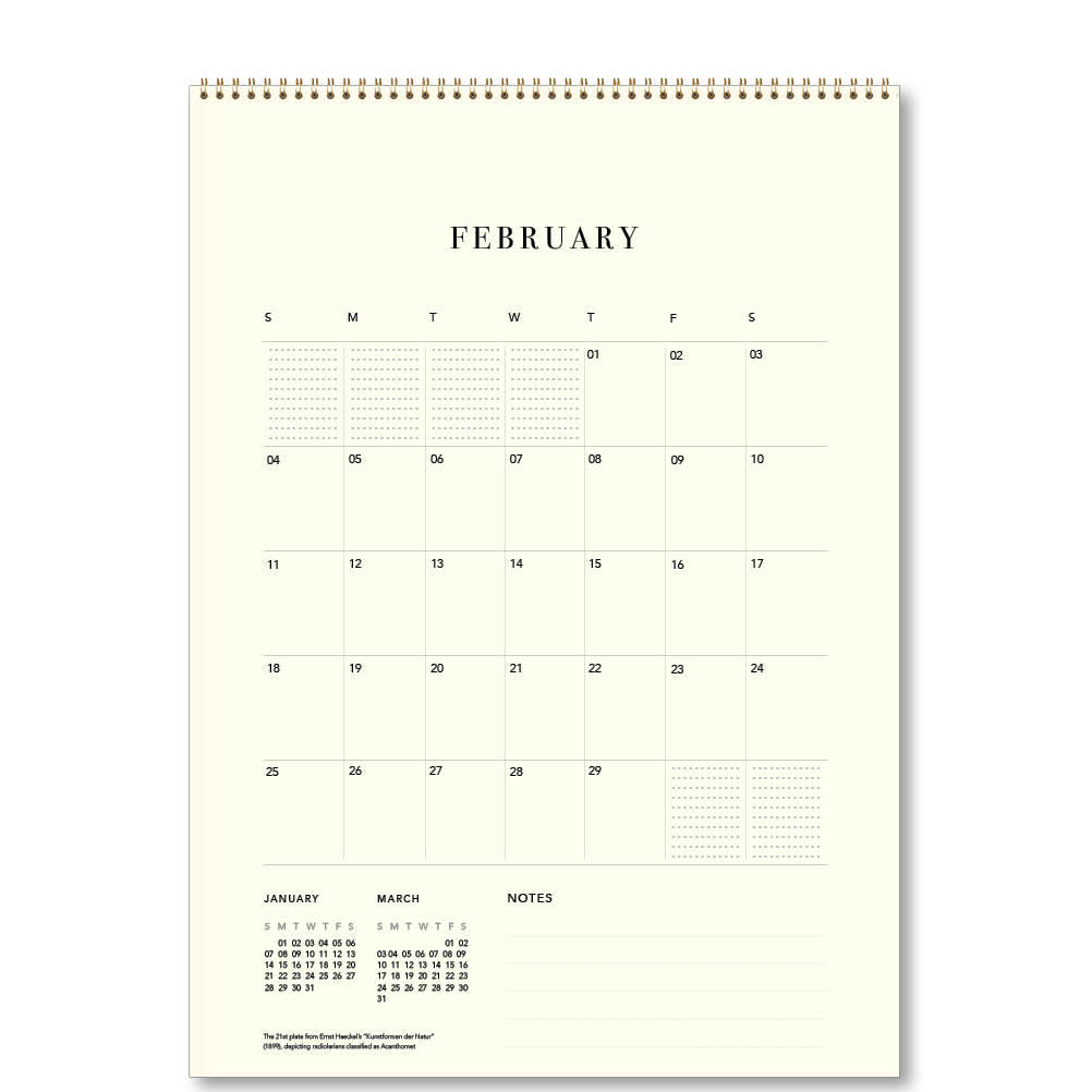 2024 Ernst Haeckel - Deluxe Wall Calendar