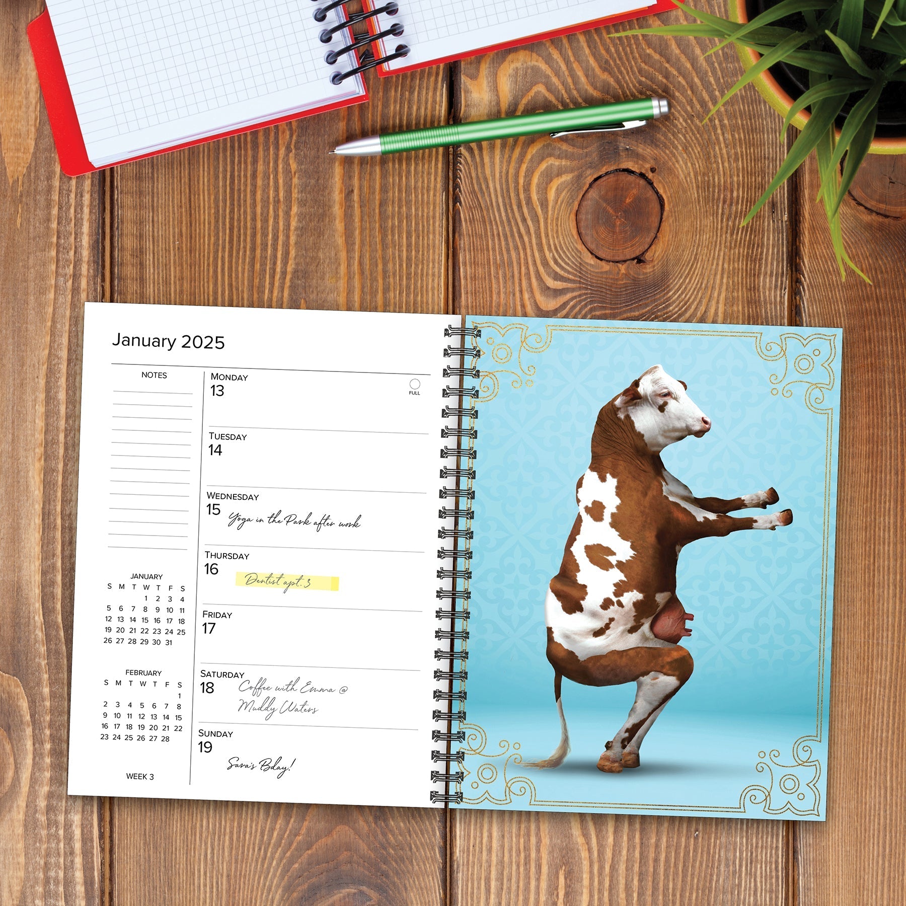 2025 Animal Yoga - Weekly Diary/Planner (US Only)