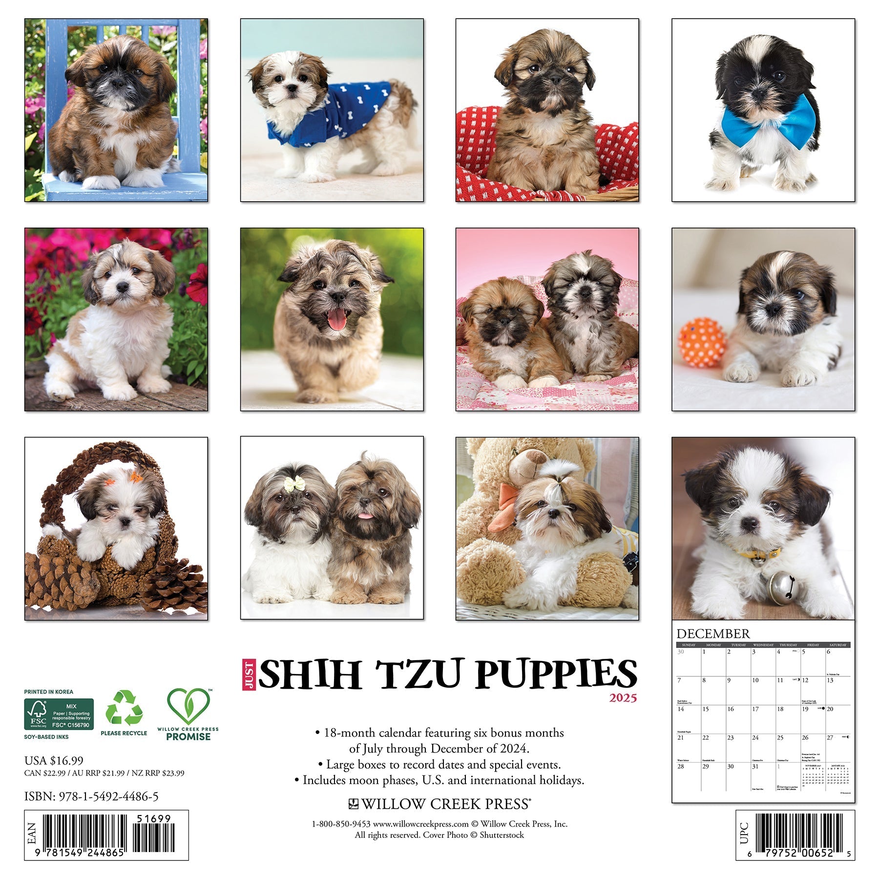 2025 Shih Tzu Puppies - Square Wall Calendar (US Only)