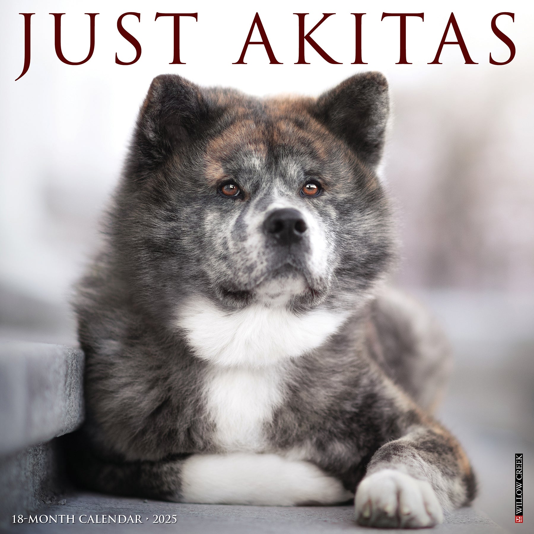 2025 Akitas - Square Wall Calendar (US Only)