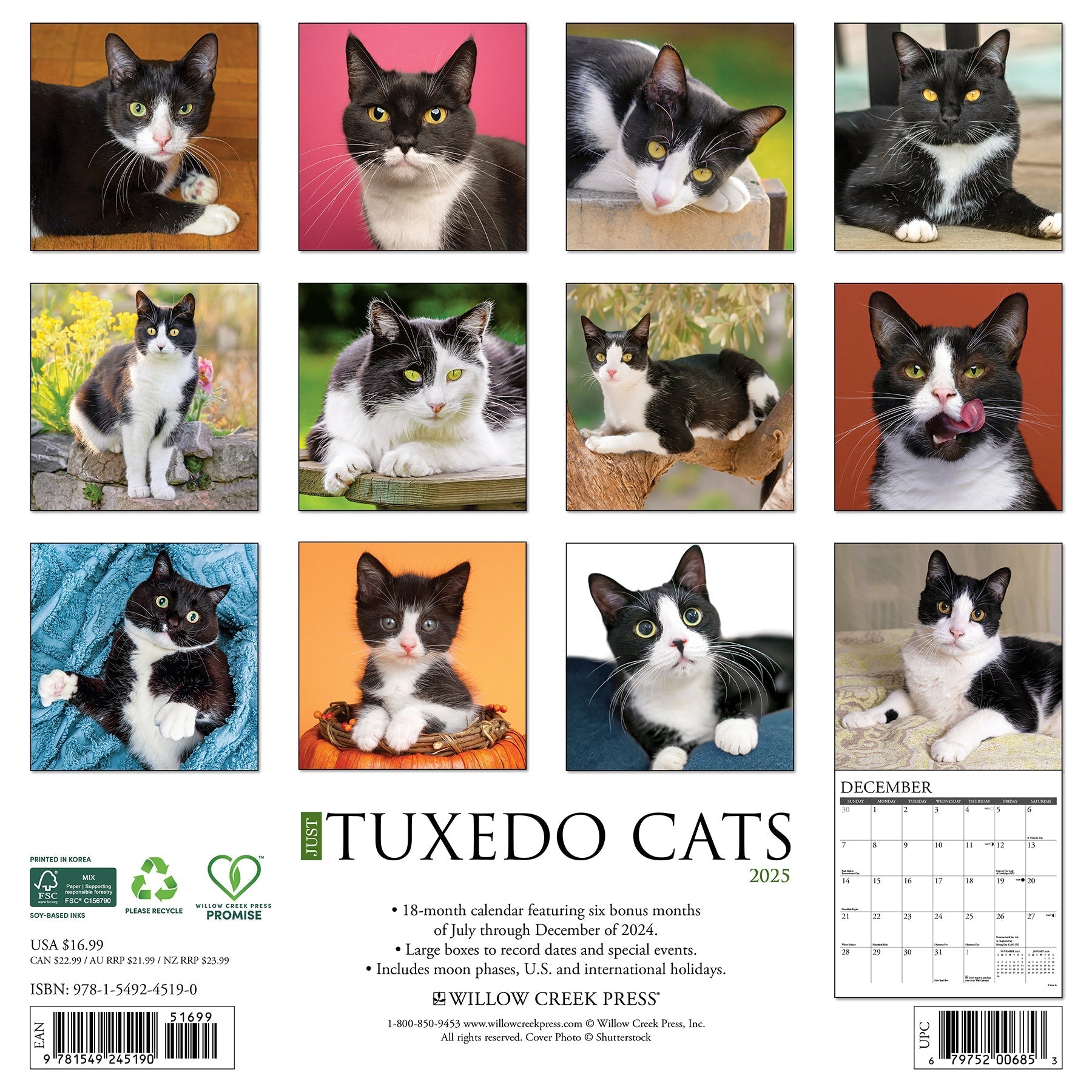 2025 Tuxedo Cats - Square Wall Calendar (US Only)