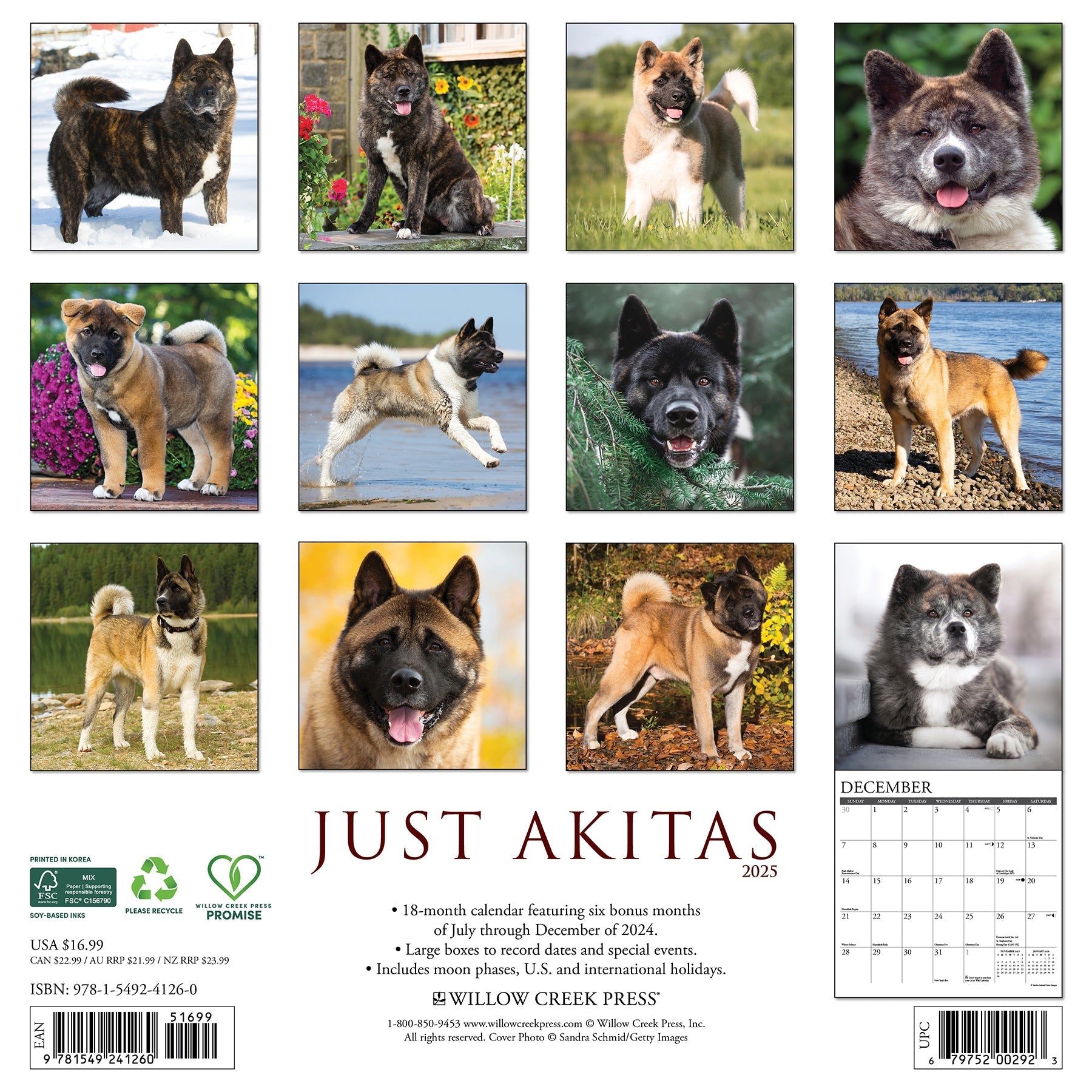 2025 Akitas - Square Wall Calendar (US Only)