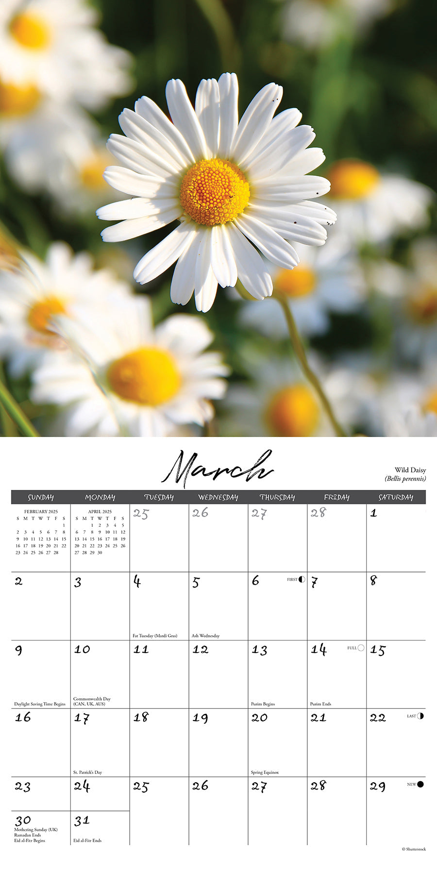 2025 Wildflowers - Square Wall Calendar (US Only)