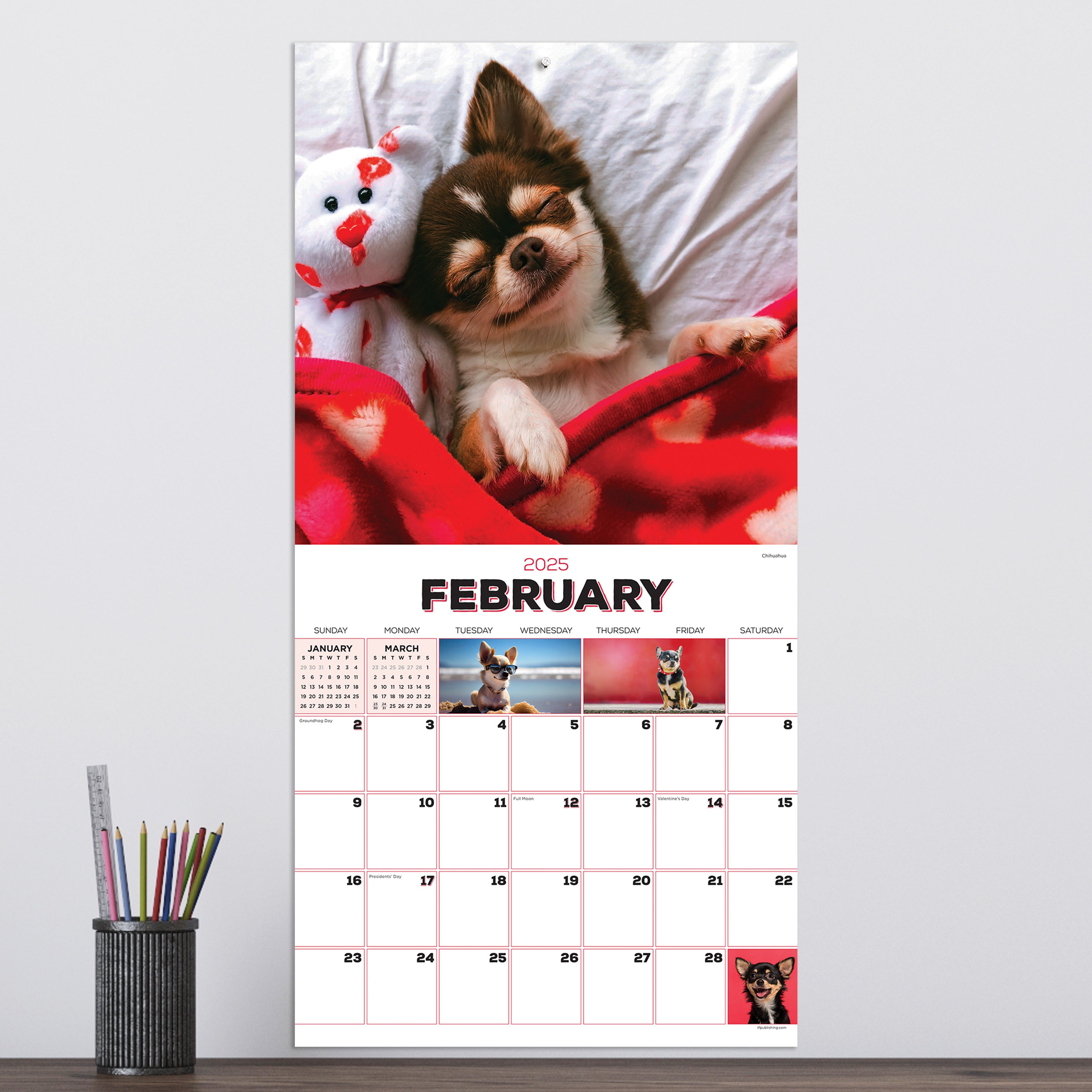 2025 Puppies - Square Wall Calendar