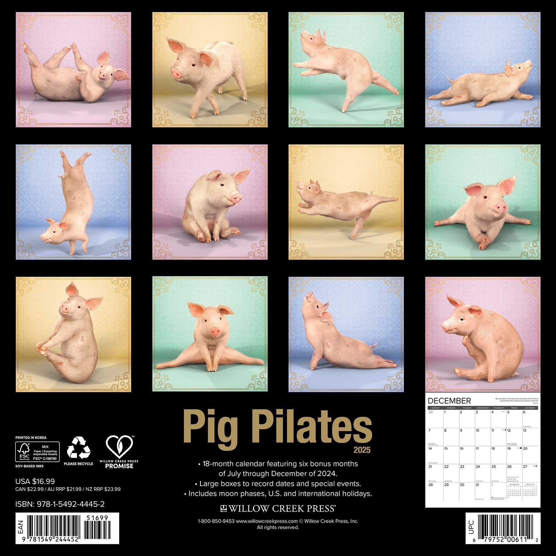 2025 Pig Pilates - Square Wall Calendar (US Only)