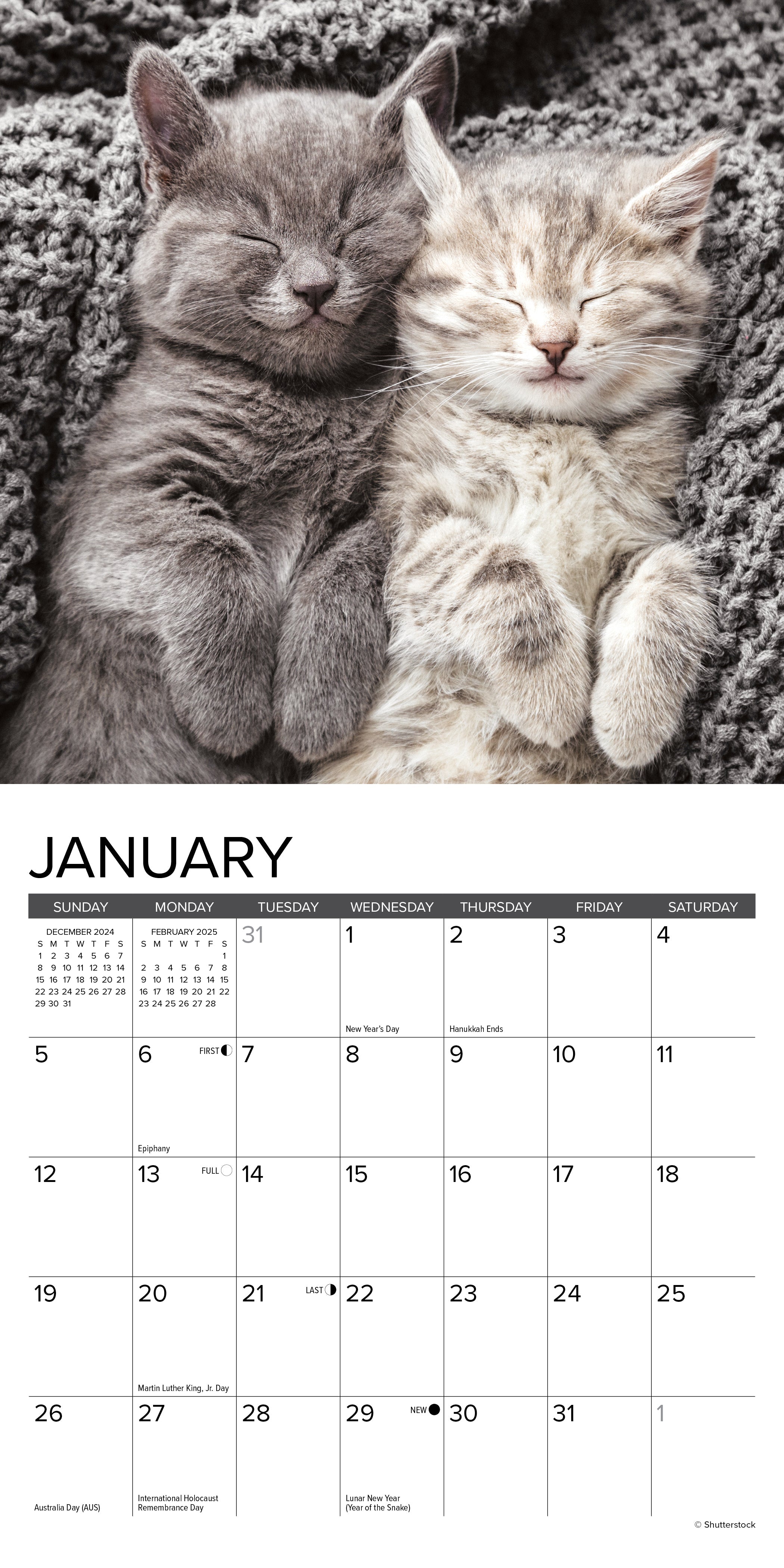 2025 Kittens - Mini Wall Calendar (US Only)