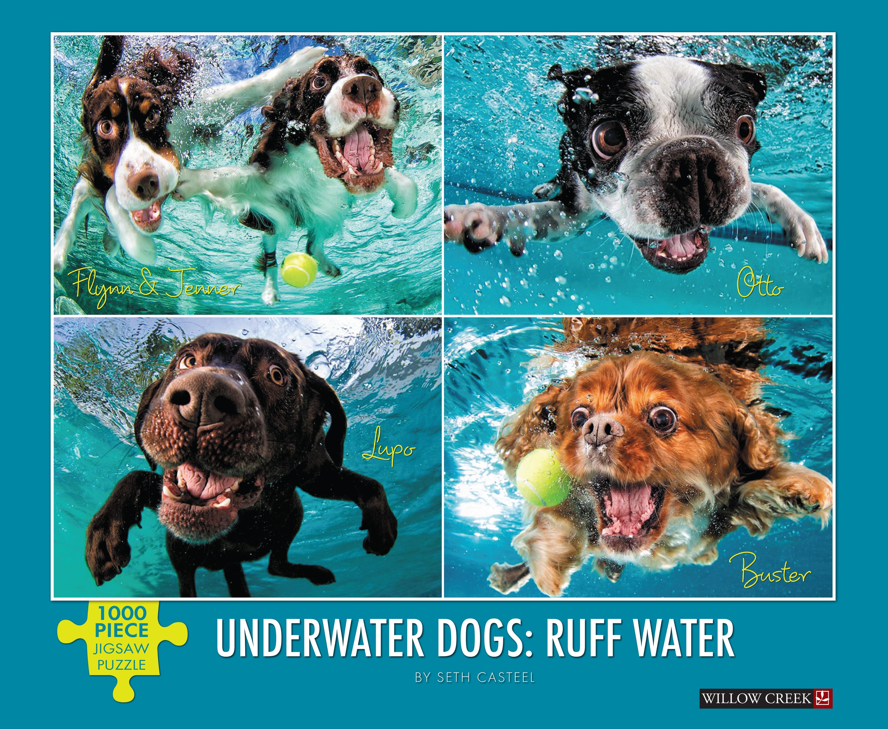 Underwater Dogs: Ruff Water 1000 Piece - Jigsaw Puzzle