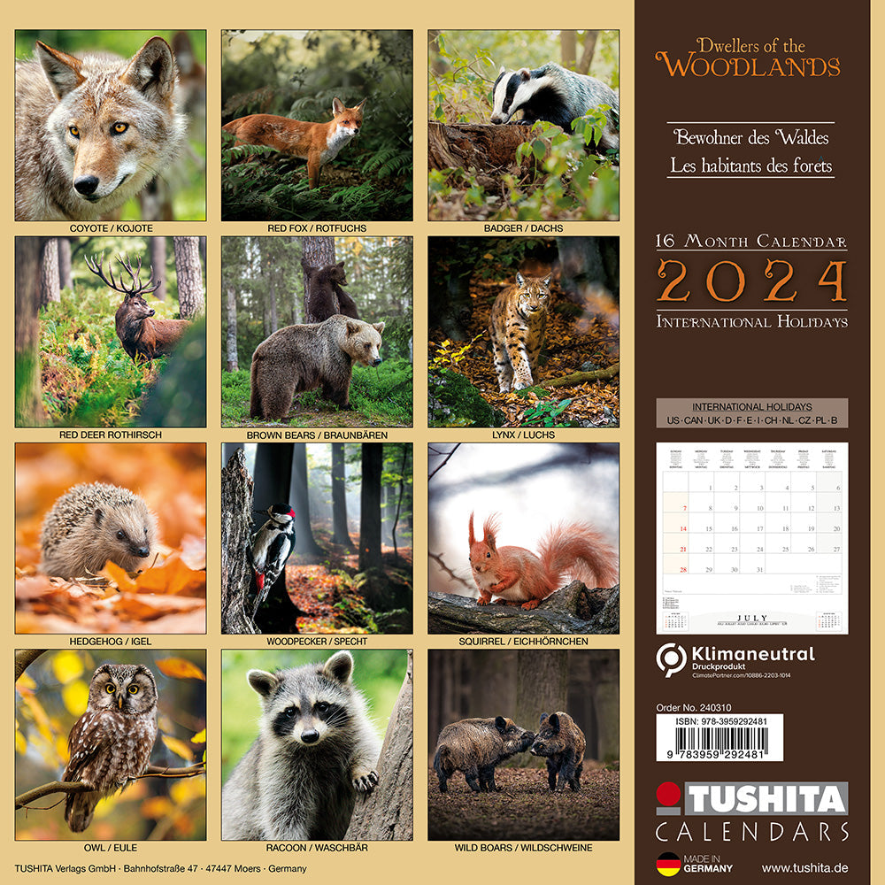 2024 Woodlands - Square Wall Calendar