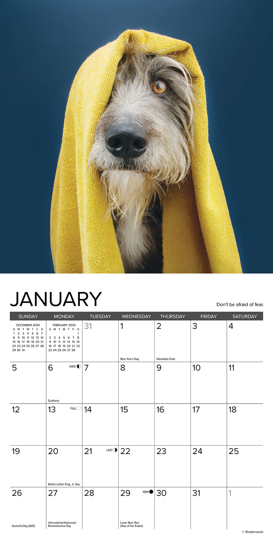 2025 What Dogs Teach Us - Mini Wall Calendar (US Only)