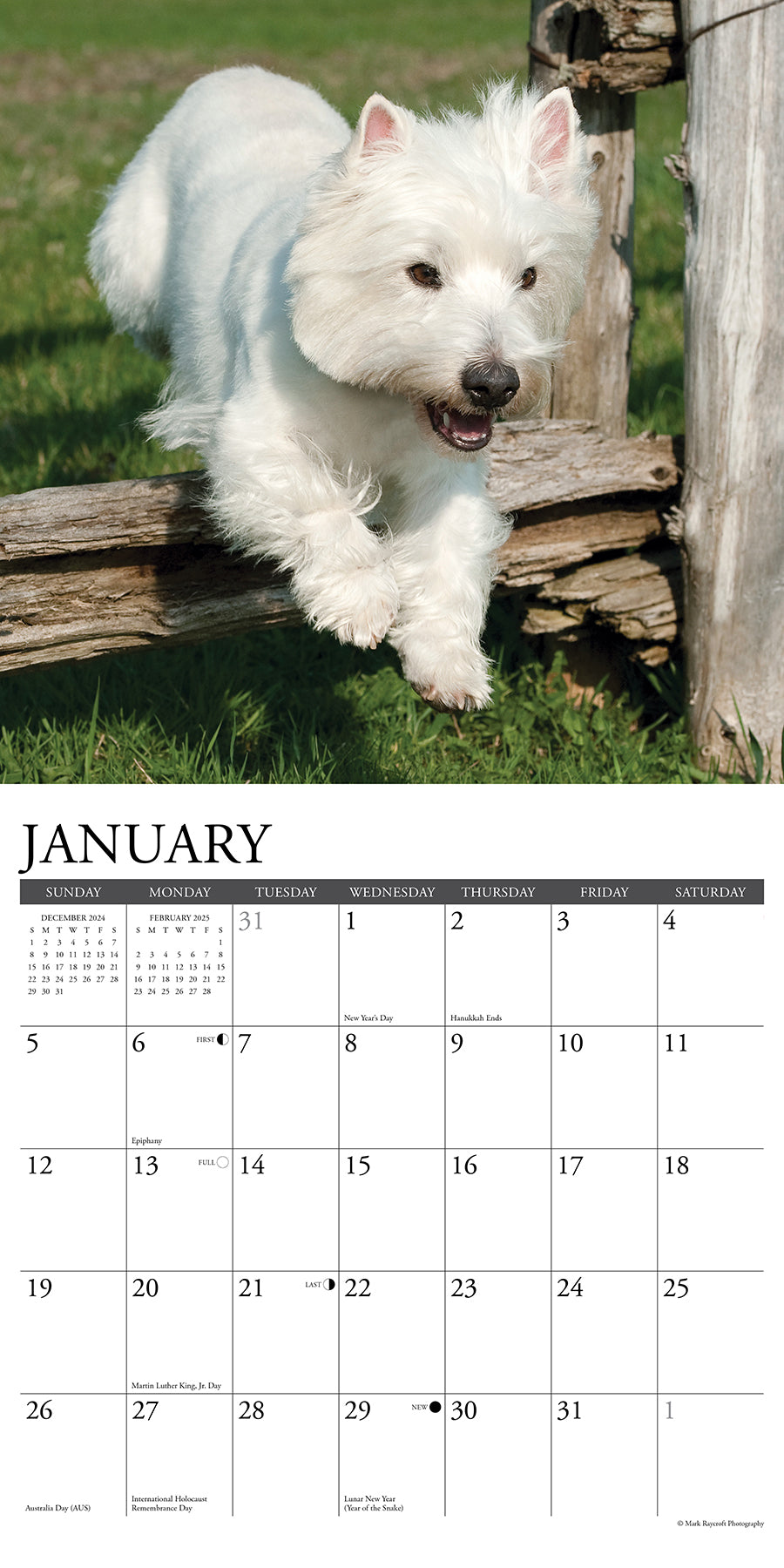 2025 Westies - Square Wall Calendar (US Only)